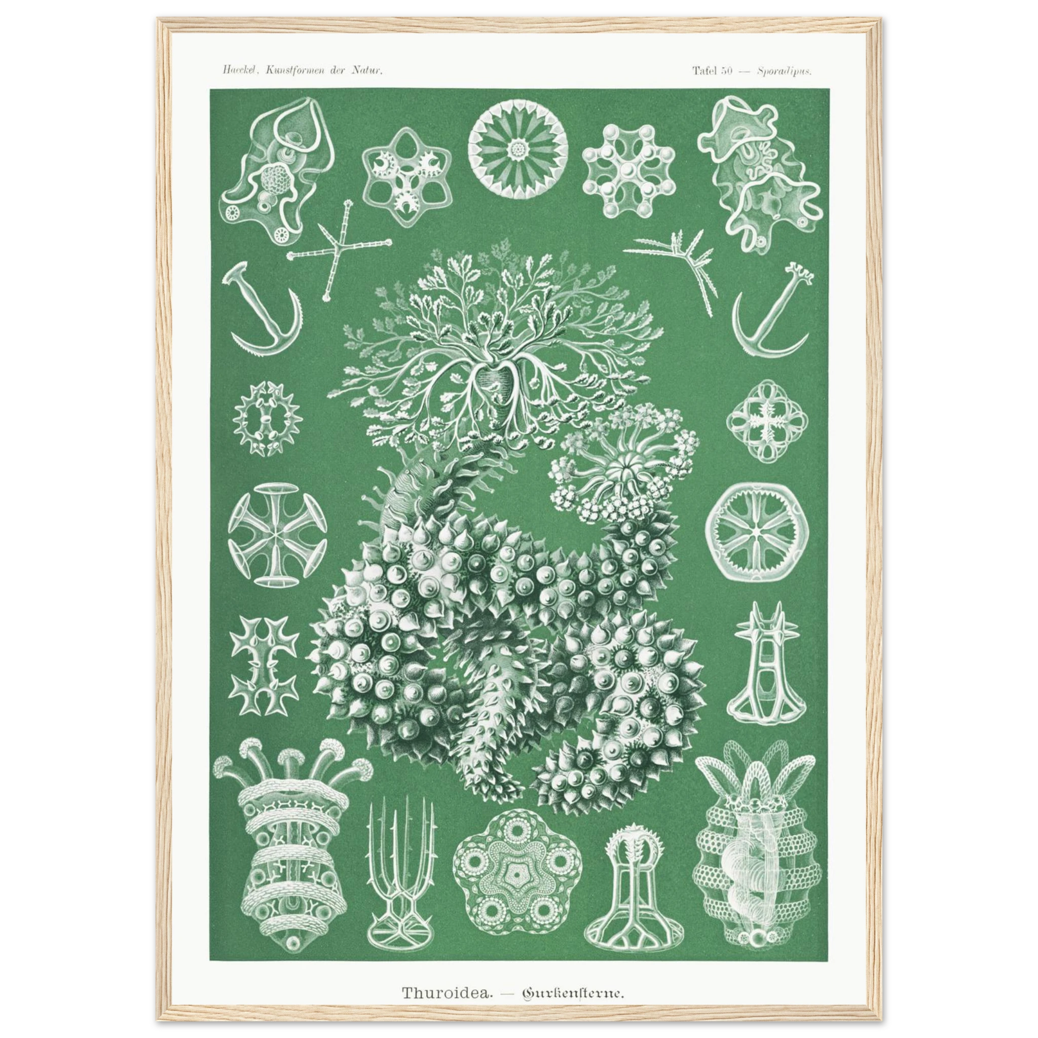 1c16433f-a4c8-40a7-8702-ad7d61a954d6