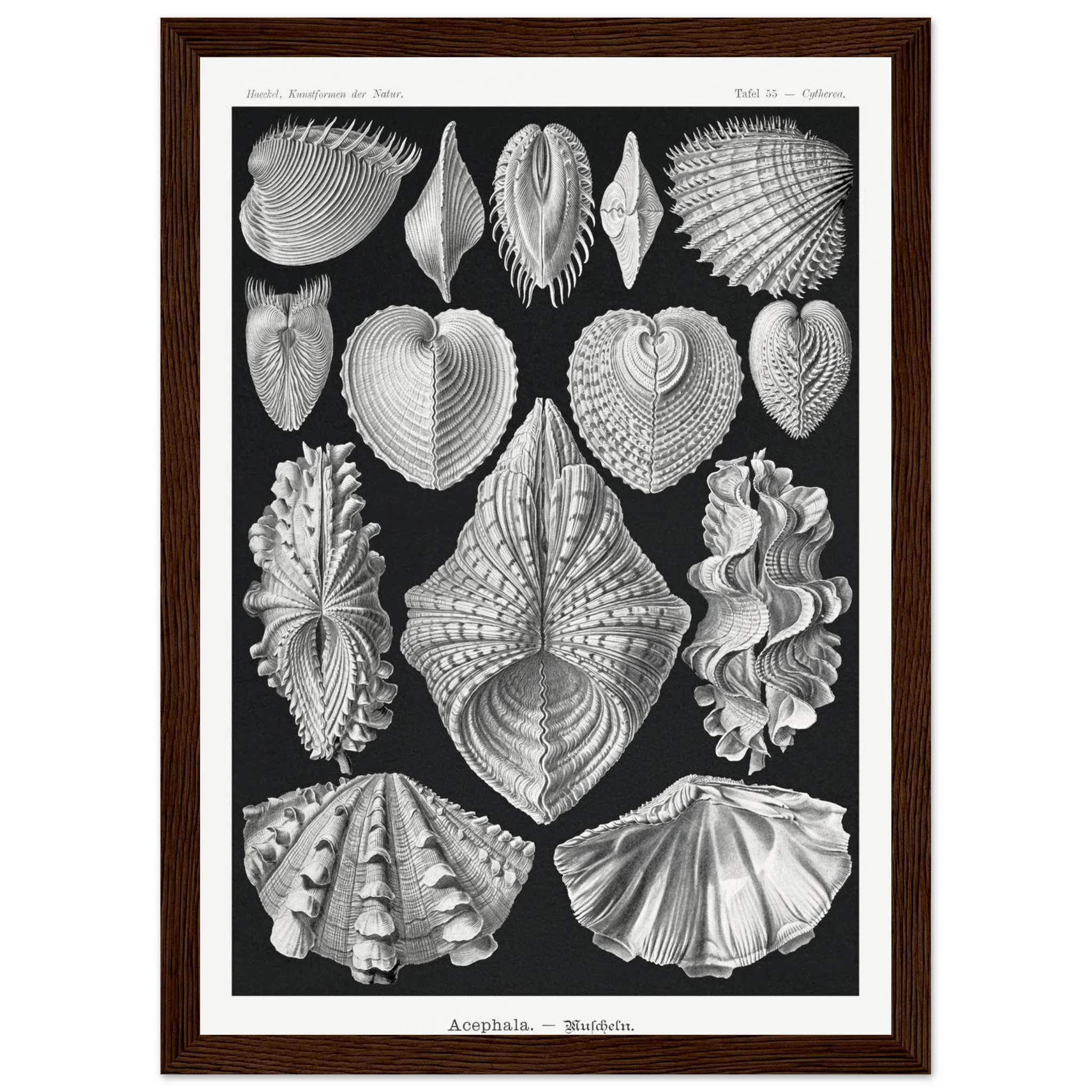 1c3851c9-cf0b-48d4-af1b-98f00fedbeff