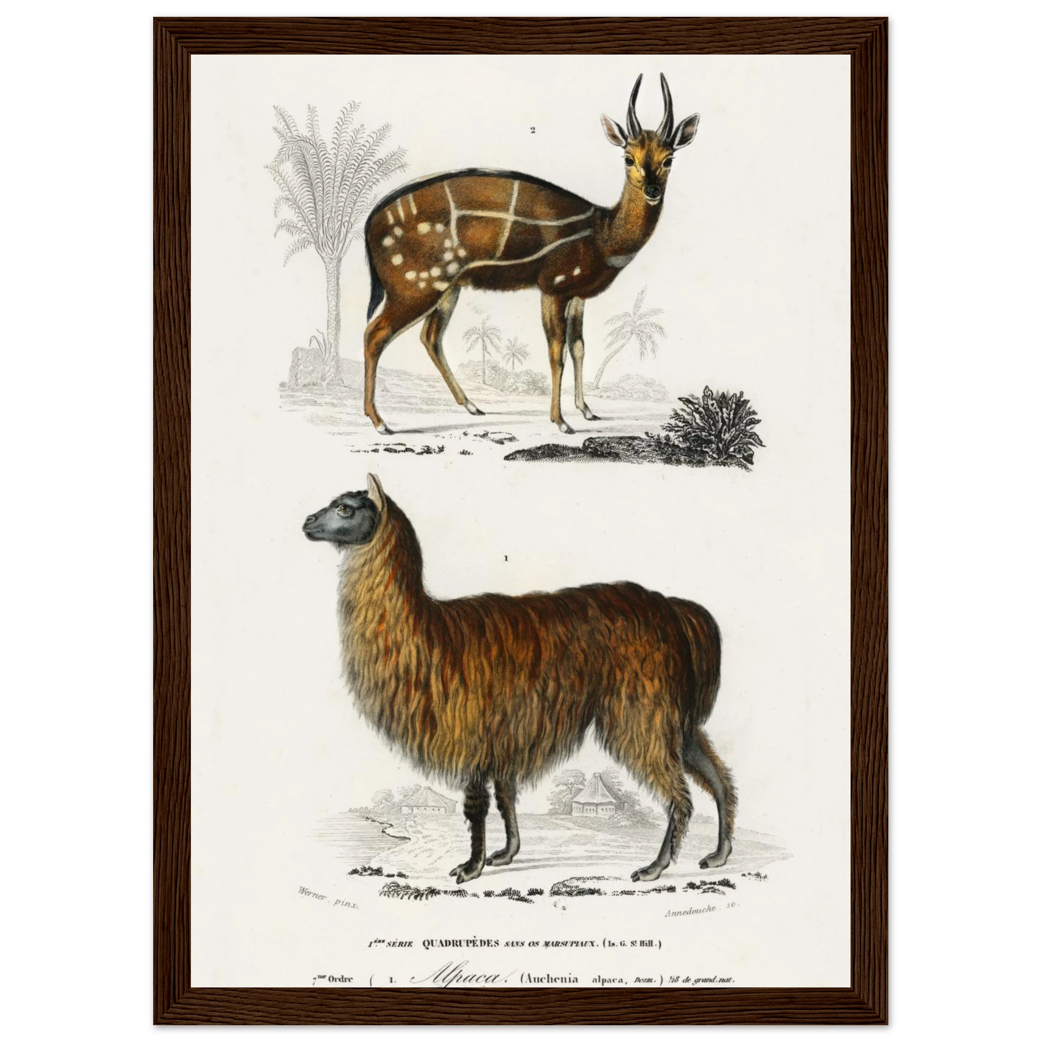 1c388625-86b8-45af-859d-ff1793fb7b6a