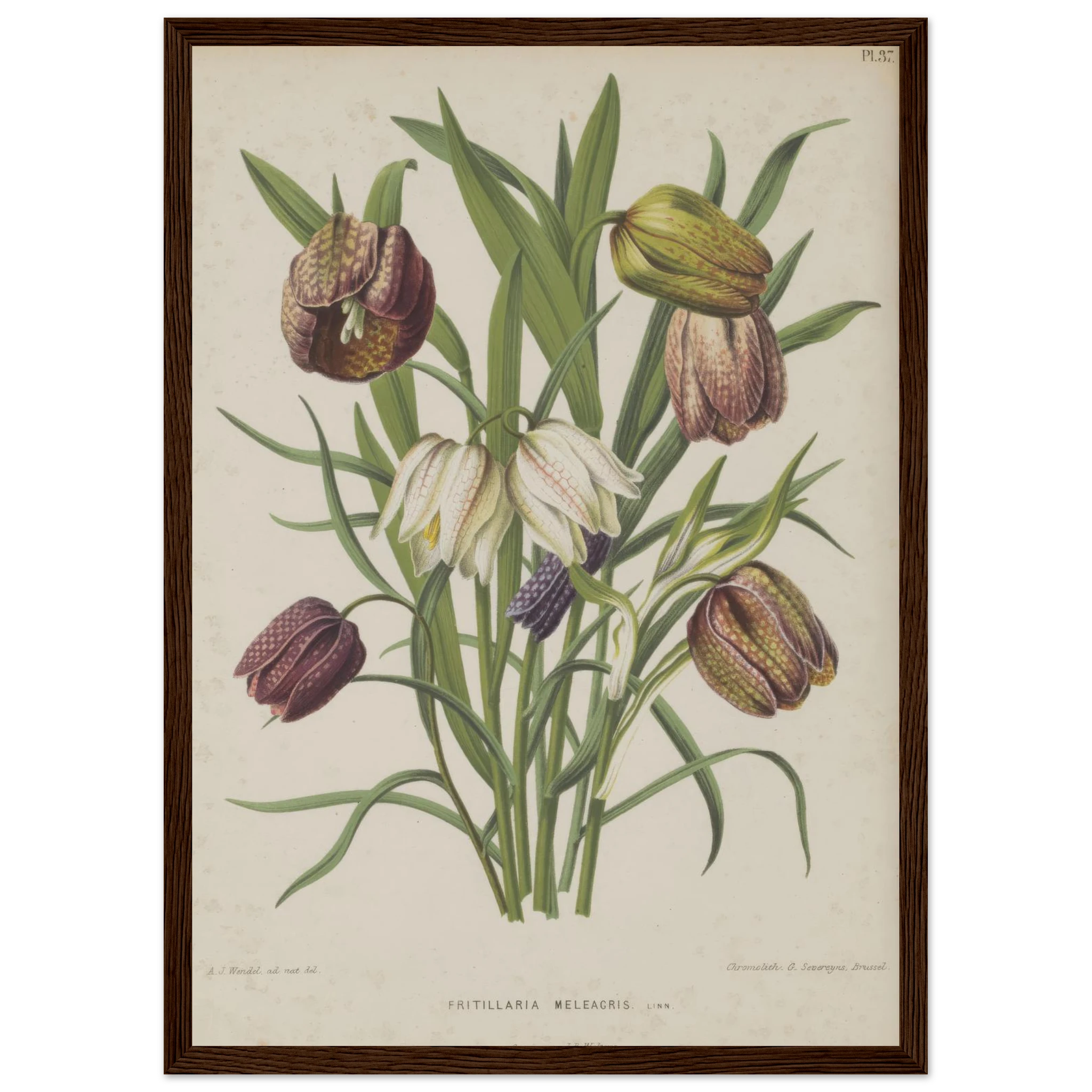 1c5ac765-6f45-4b4d-ba19-7c86f1a6121c