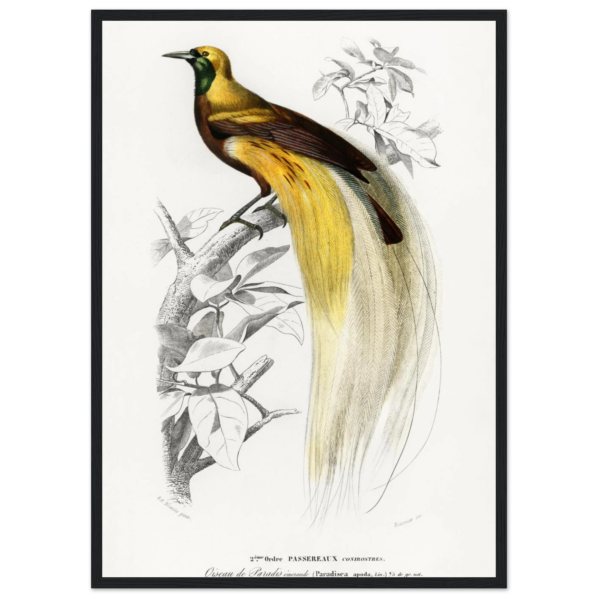 1c6373fa-15ab-4d79-baa1-b3e3a0967a73