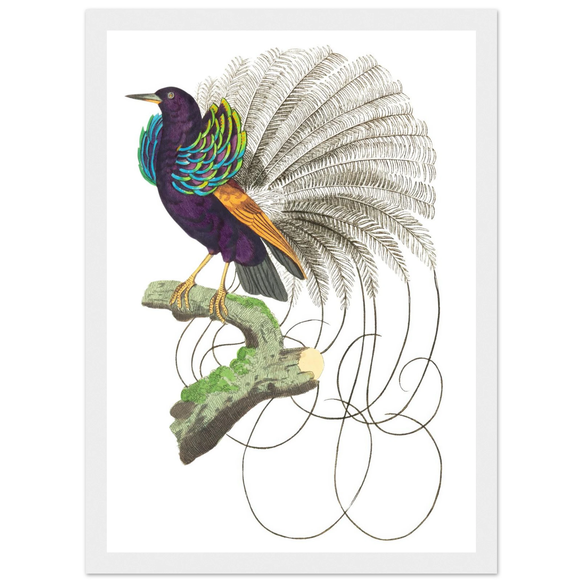 1c80e60e-827e-493f-857d-62caa027a07a