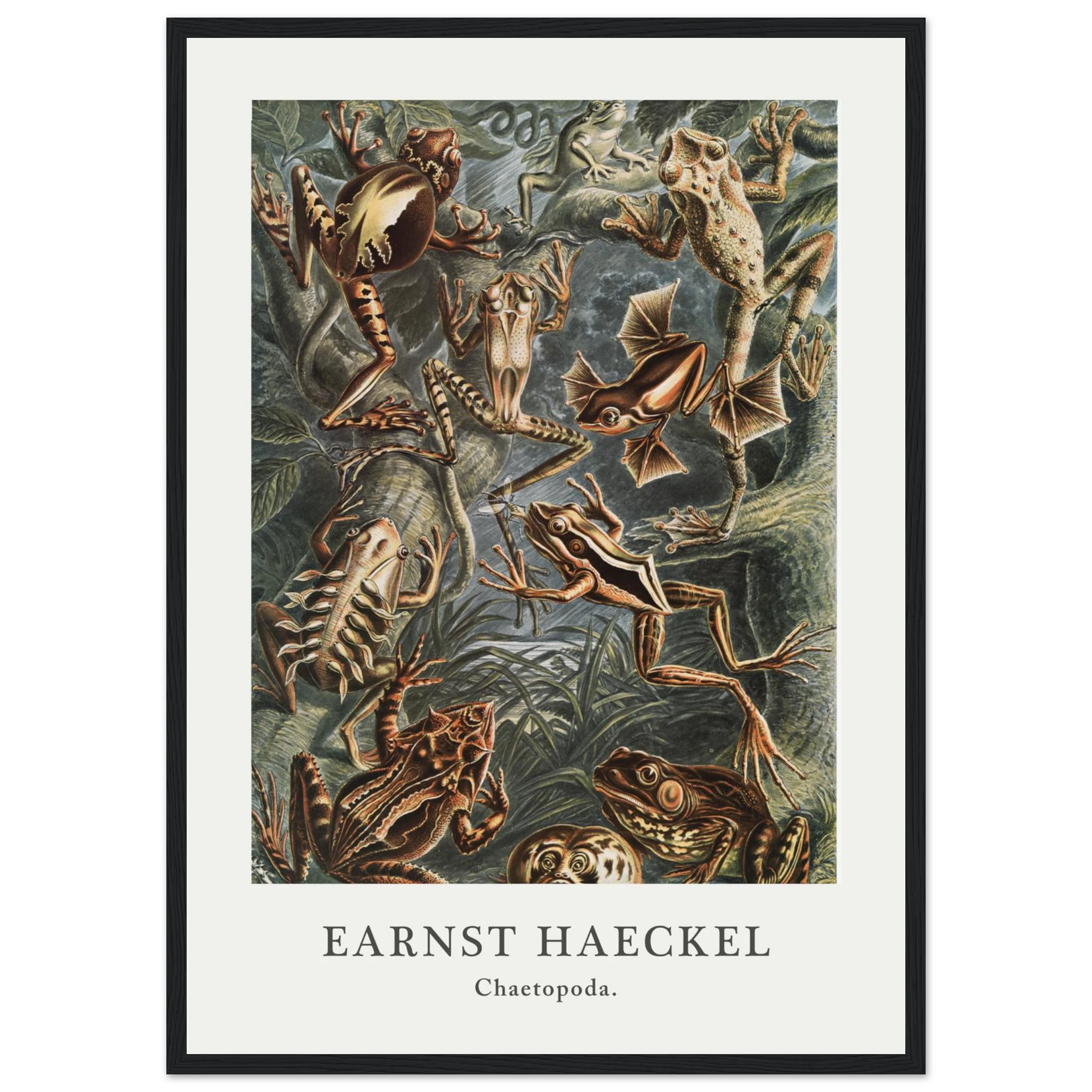 1ce49d47-7391-4b88-8799-6d3963ddc9e5