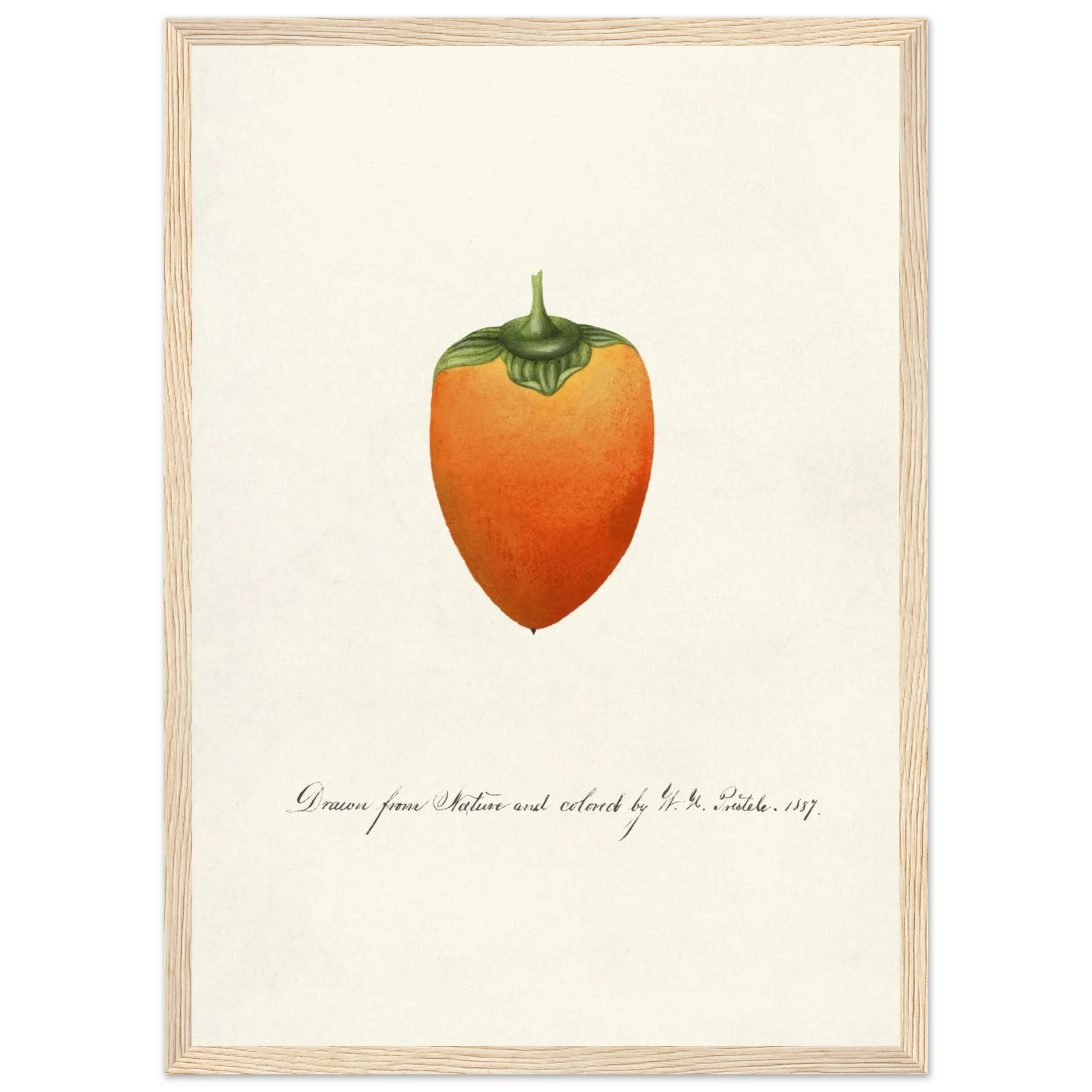 1ce64273-adec-4646-a869-47434e8aa319