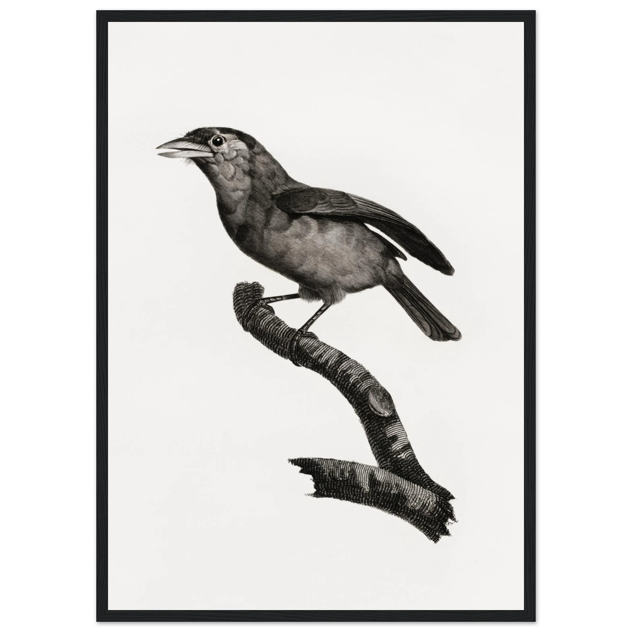 1ce7e6f7-f4df-4966-8e9a-d78cb66b1a97