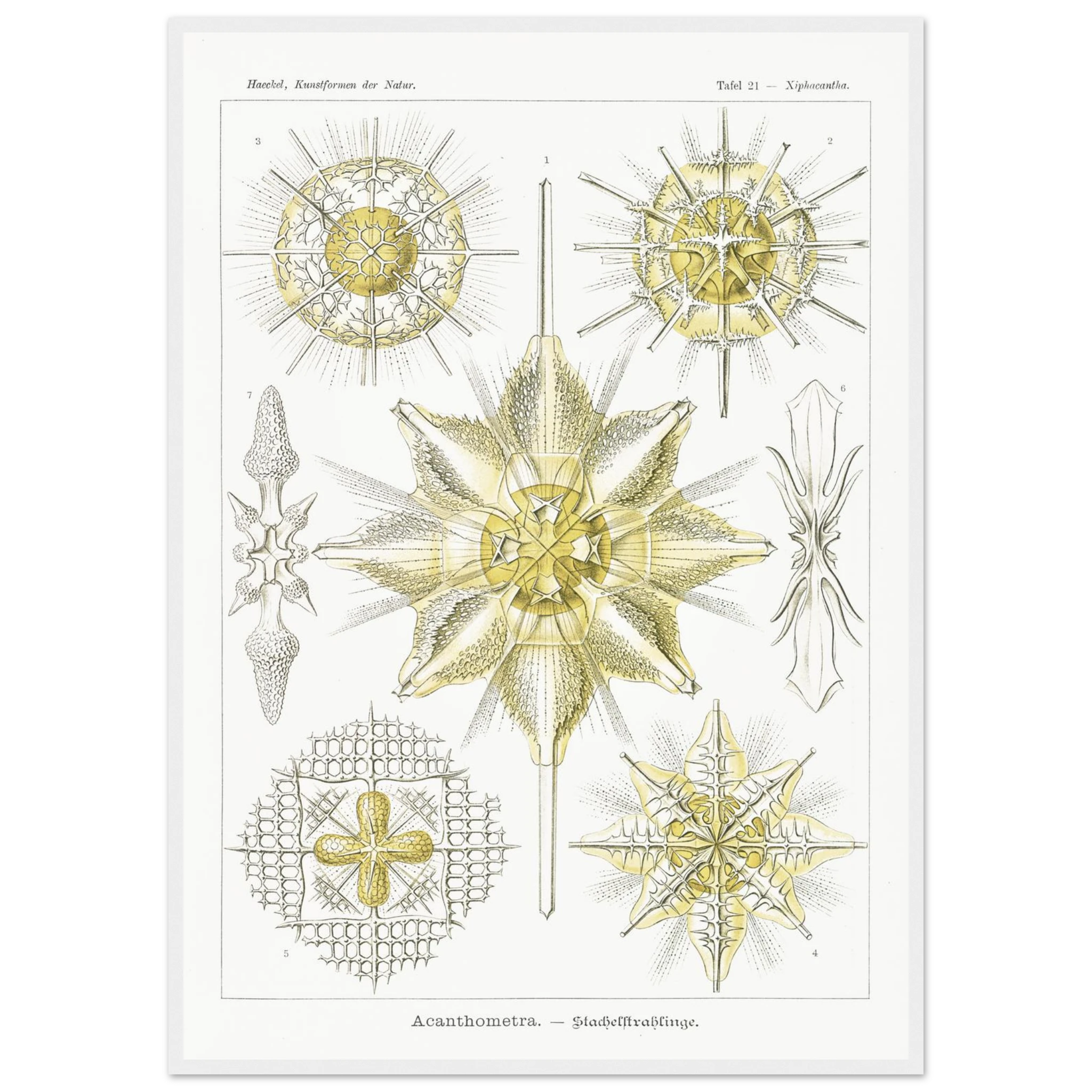 1d1be5c8-66cc-47ae-86f6-ac877012ca24