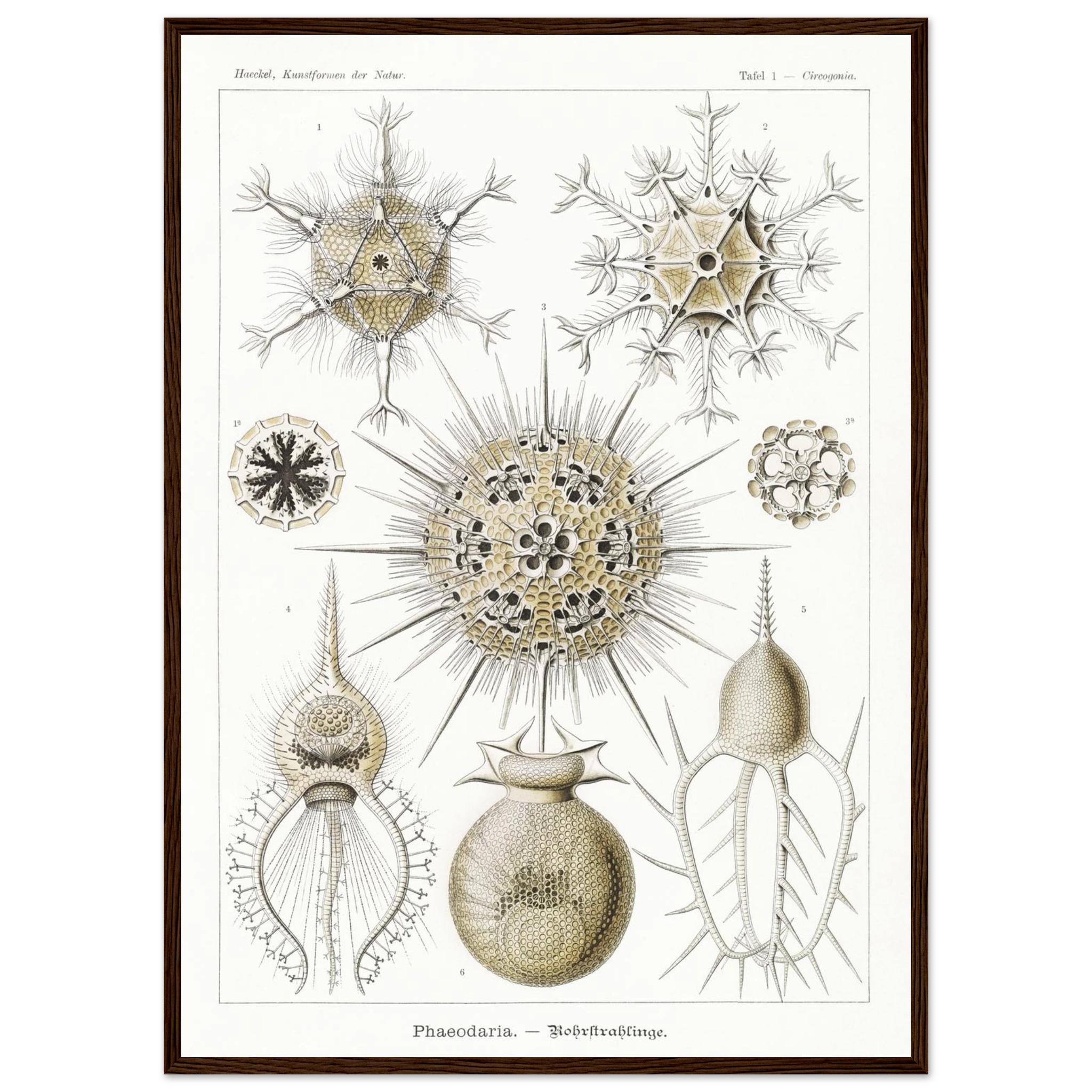 1d7cc1f4-0ba0-4b5e-ae62-b30e91e68293