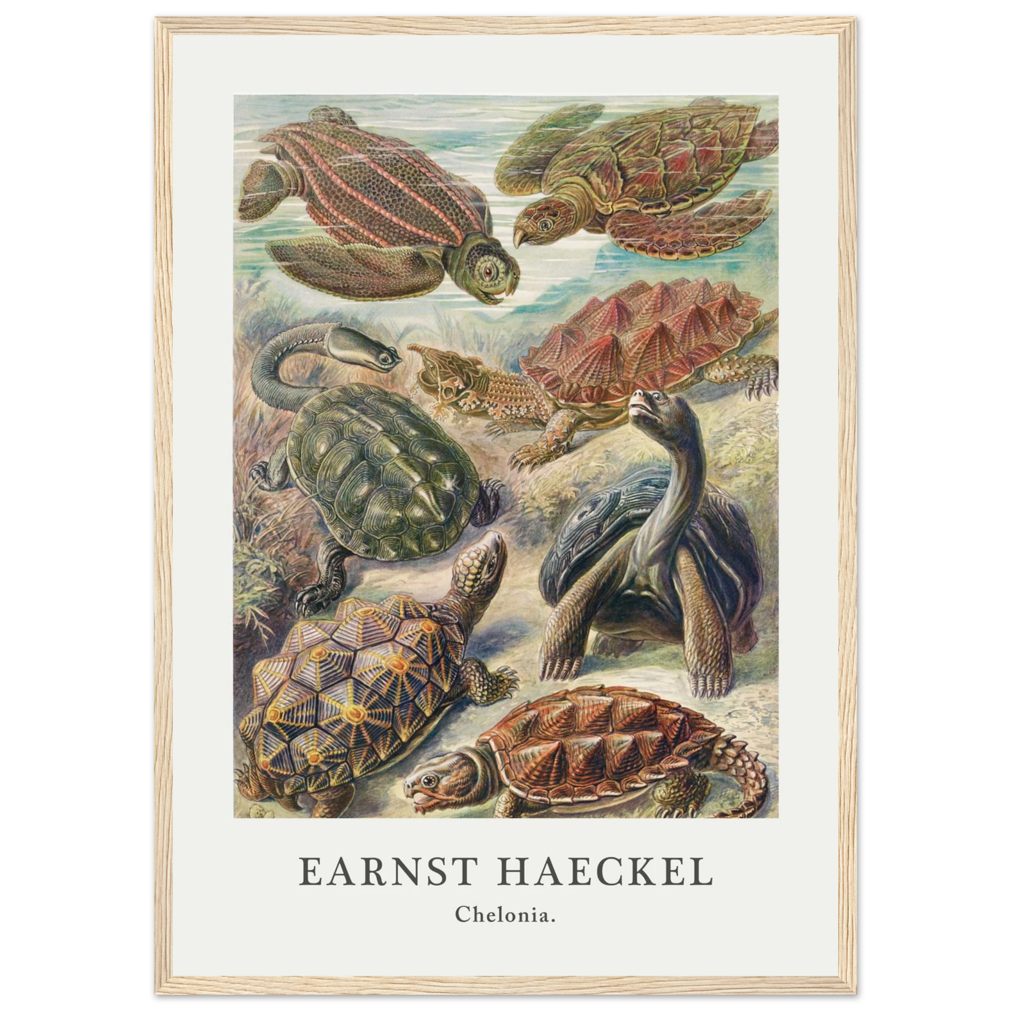 1d8166d0-4248-4baf-b05d-94990e523ba8