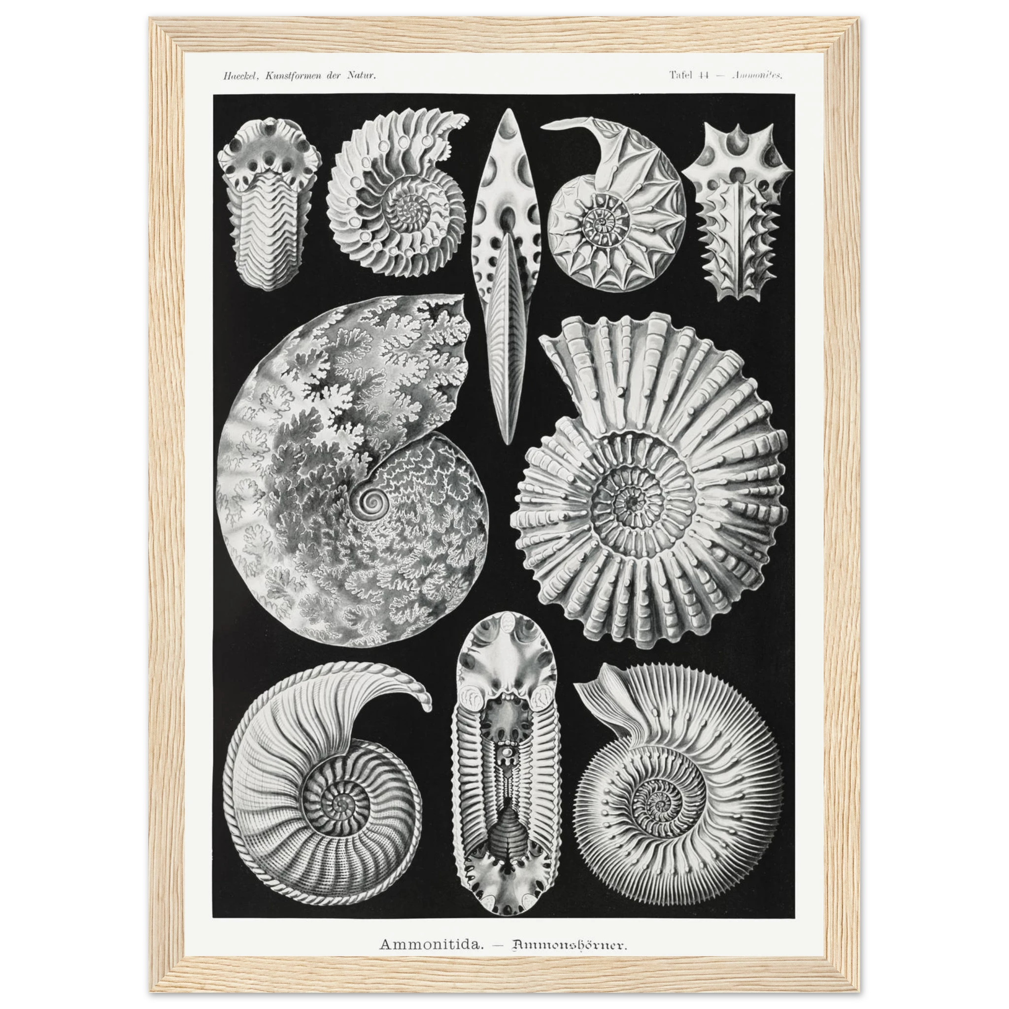 1d9fbb20-2fae-4407-87b8-4a9f3d6baa51