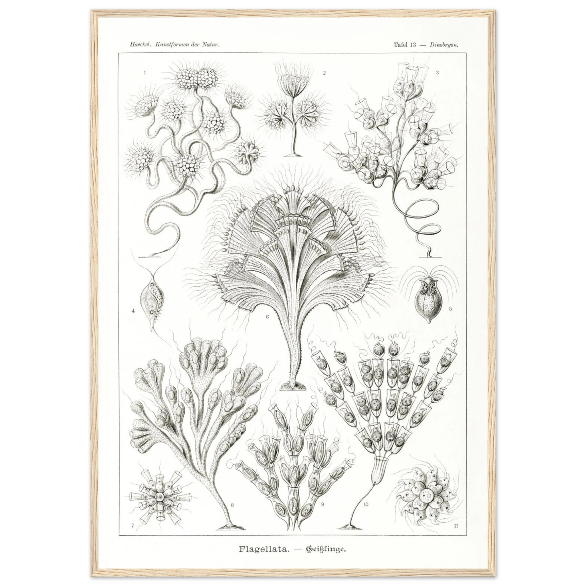 1dc95ada-c670-43cb-9528-964dedb085c8