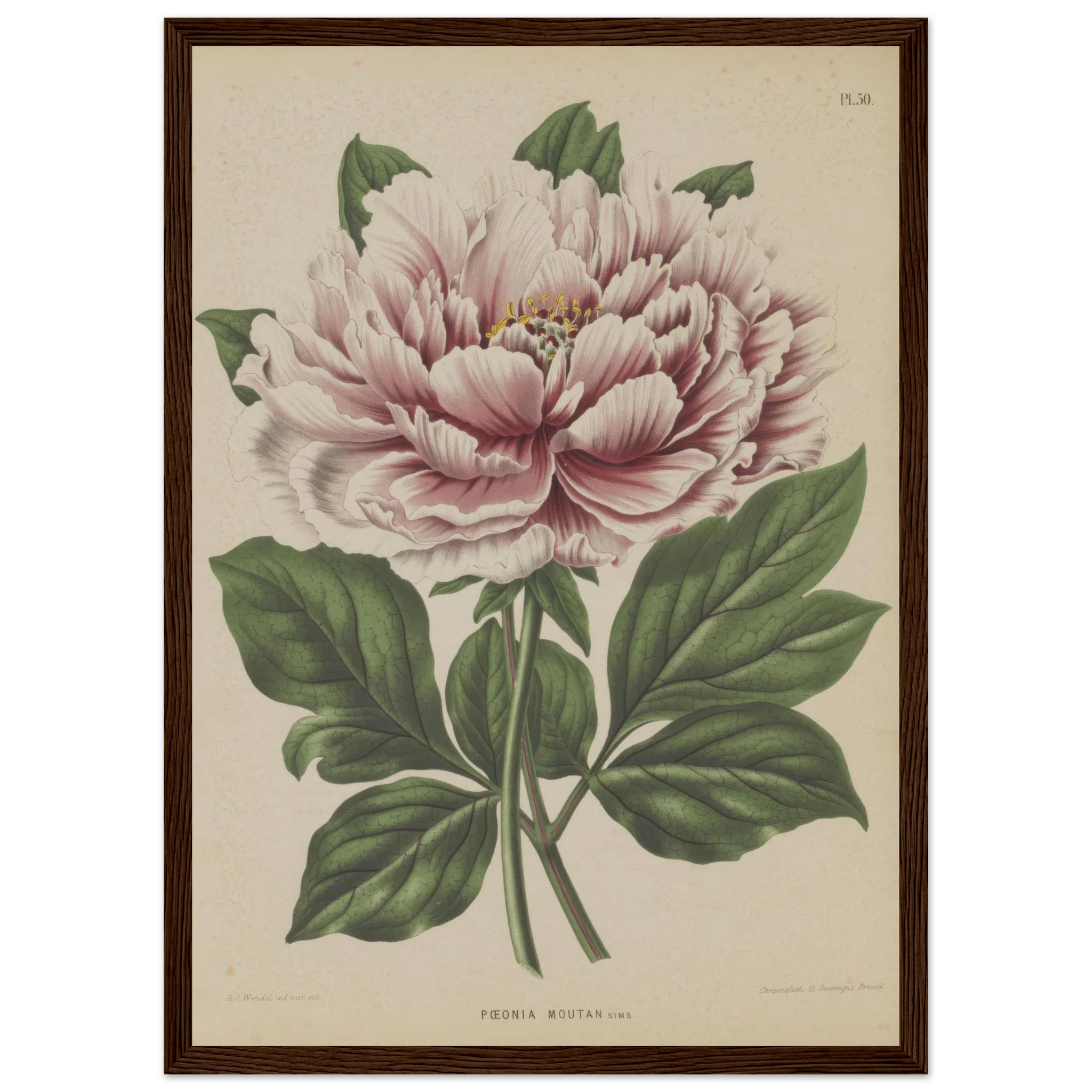 1ddd892b-102e-4d6e-b0ea-73d46ab1ca3a