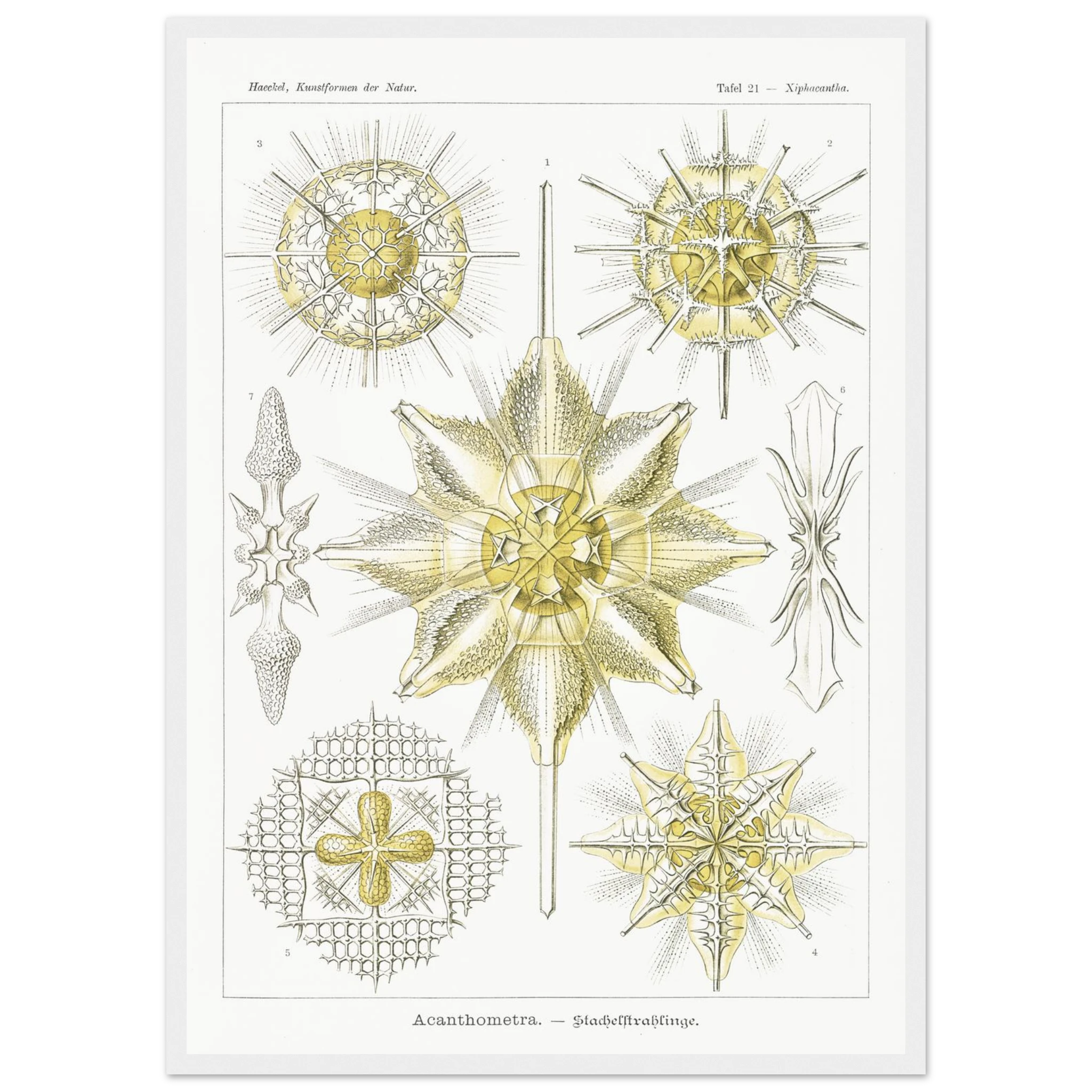 1de80150-c32d-4ed7-8e0b-21a501c48e6f