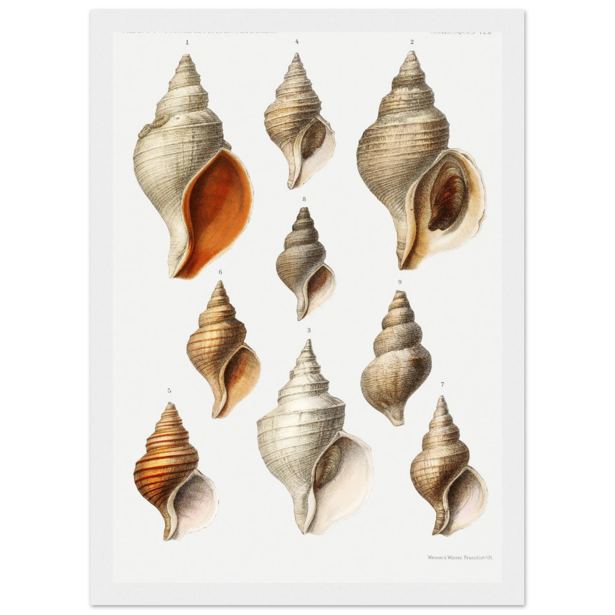 1e326a90-38a3-4e5d-9b9d-e6401aa7fd6f