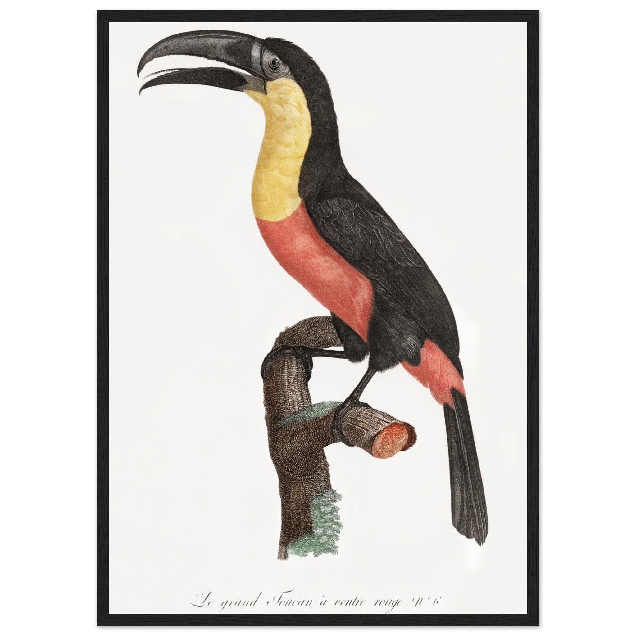 1e5a6583-c366-4736-8c57-b896ff17491d