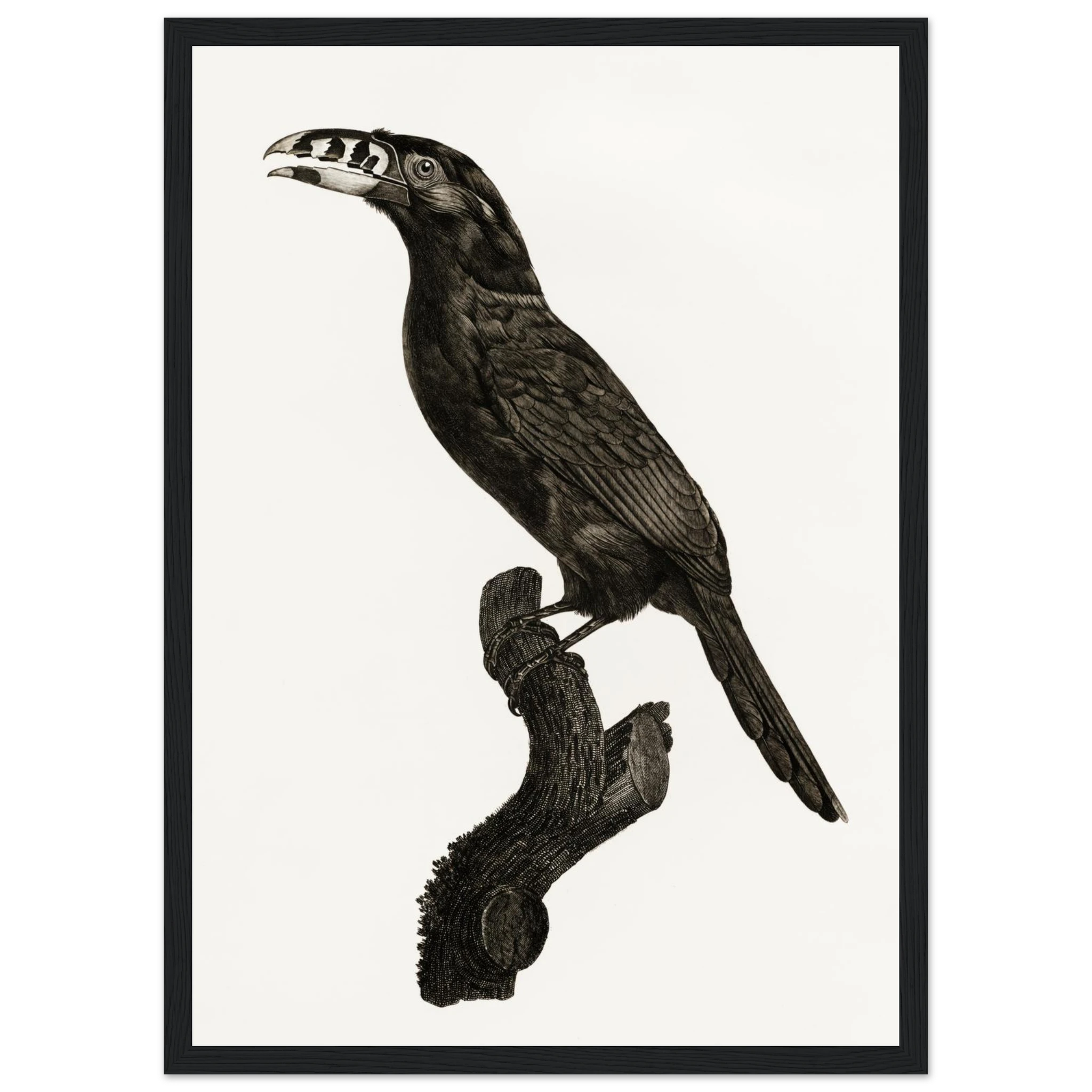 1e90457c-952e-48fc-bbc1-1db910488fbd