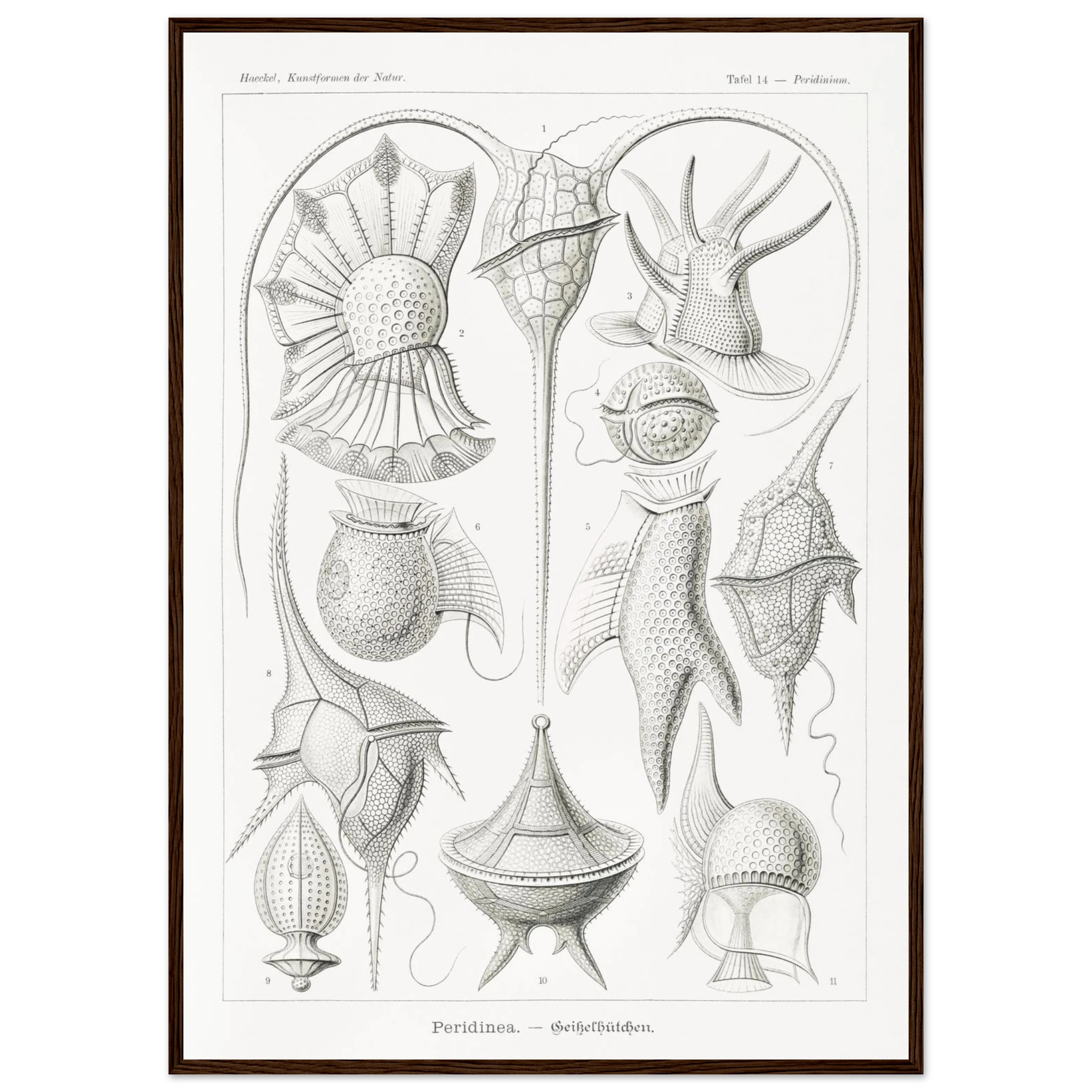 1eeabe64-f836-40d2-8b86-3c4dbd3fde4c