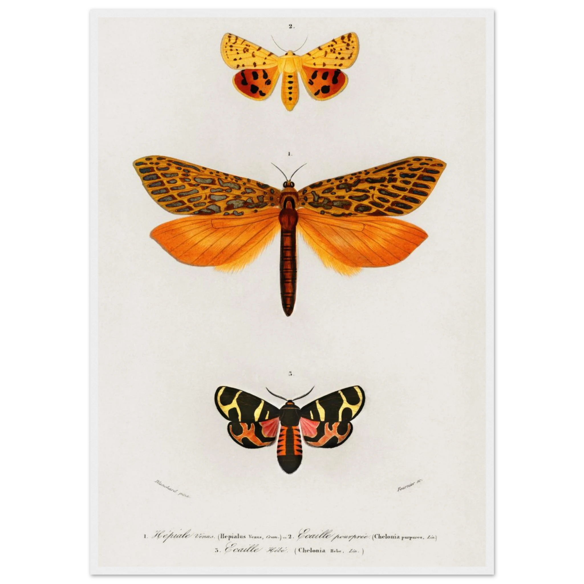 1f0a6252-0381-41bd-ac5b-8971529ecf78