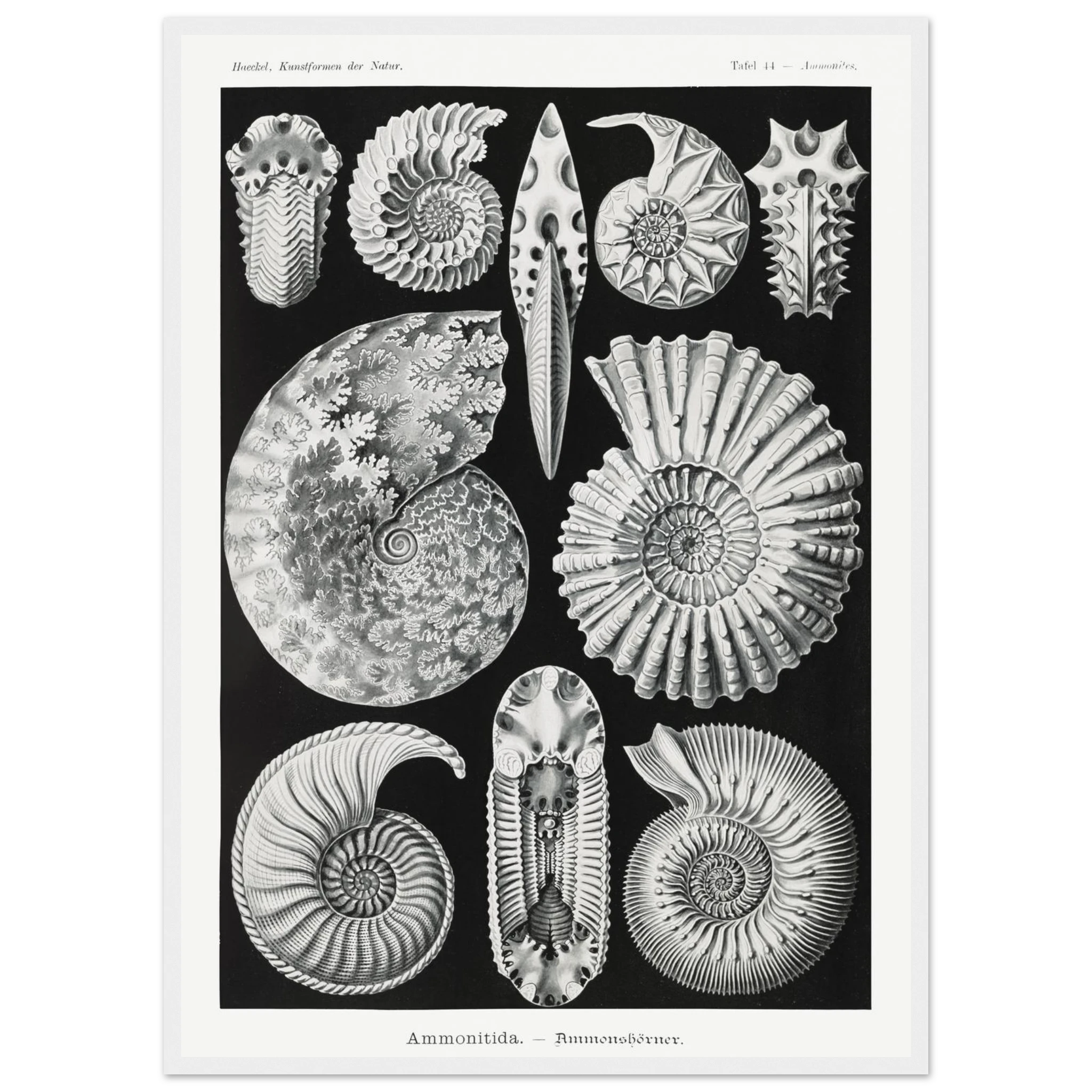 1f5eaacc-7671-41f6-a1f0-c22018a7492b