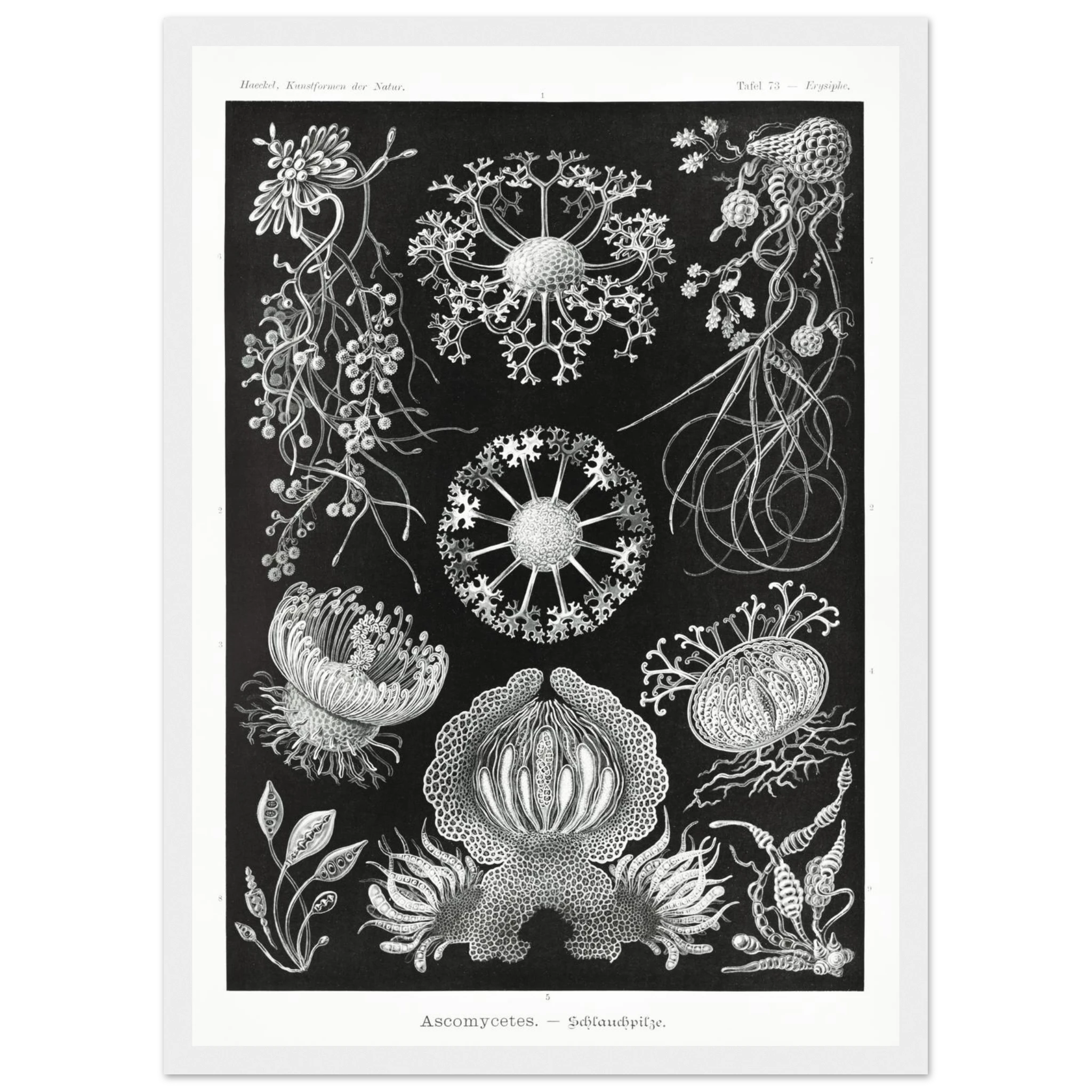 1f6ff8dc-89a2-48b1-8a75-e7e2c95ec01d