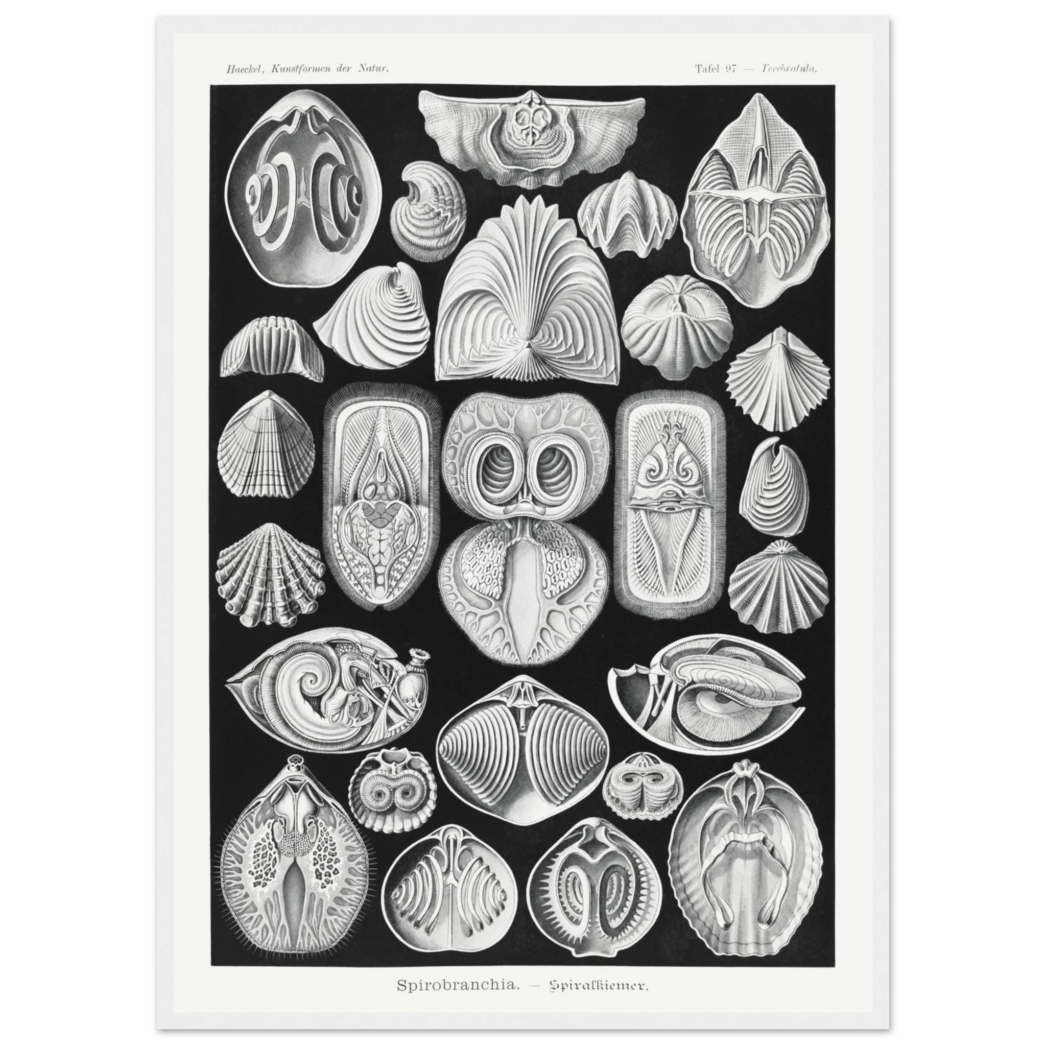 1f90dd7c-2e23-4dcf-abe6-b7fb2e54b184