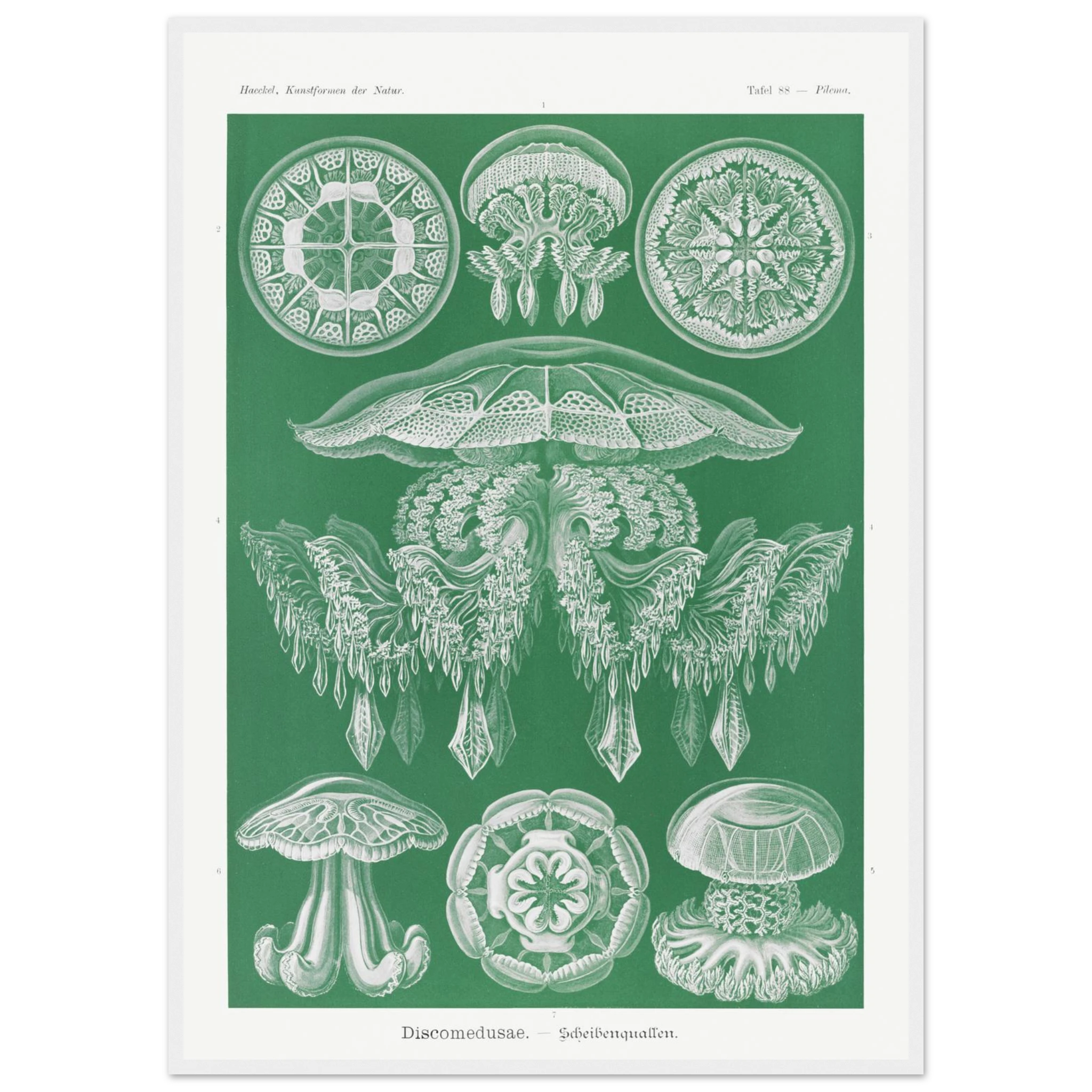 1fa2fe72-d610-4797-a66c-04e0bef7fc0a