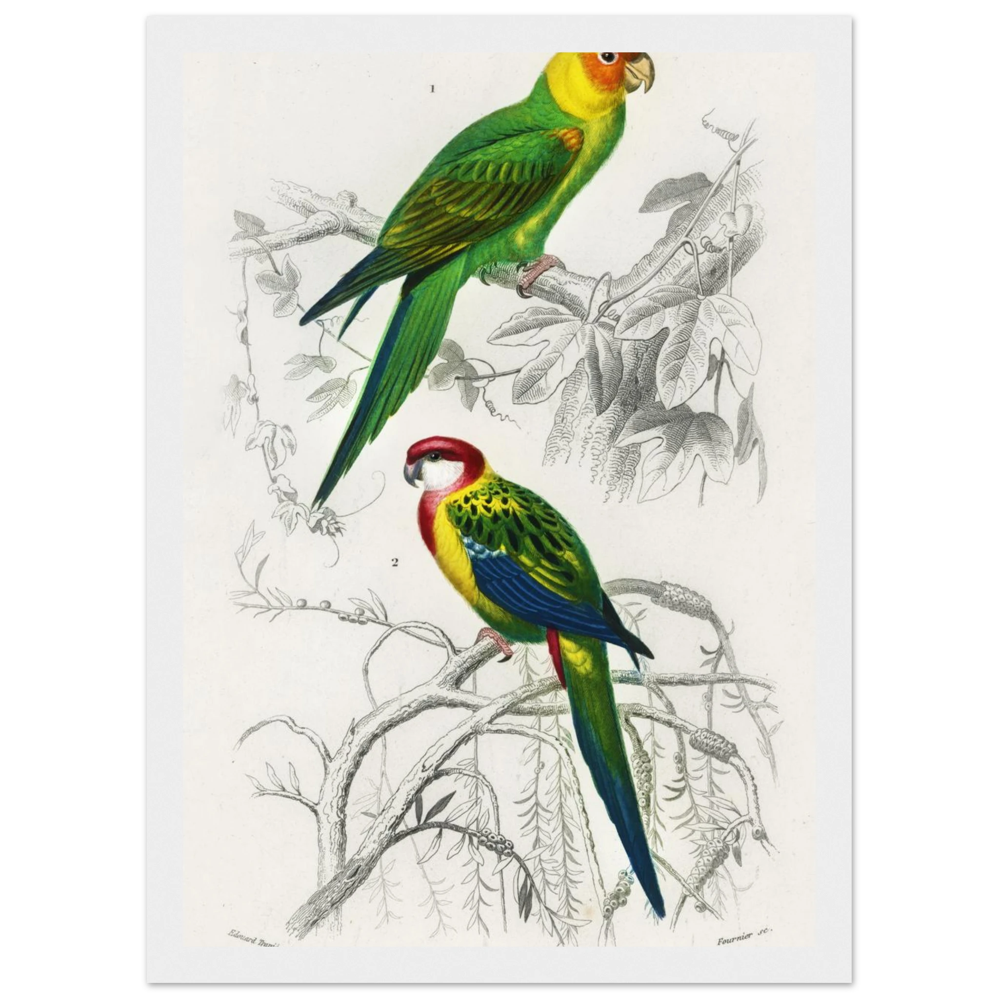 1fba3fd1-d263-411f-a753-6e54835c94d9