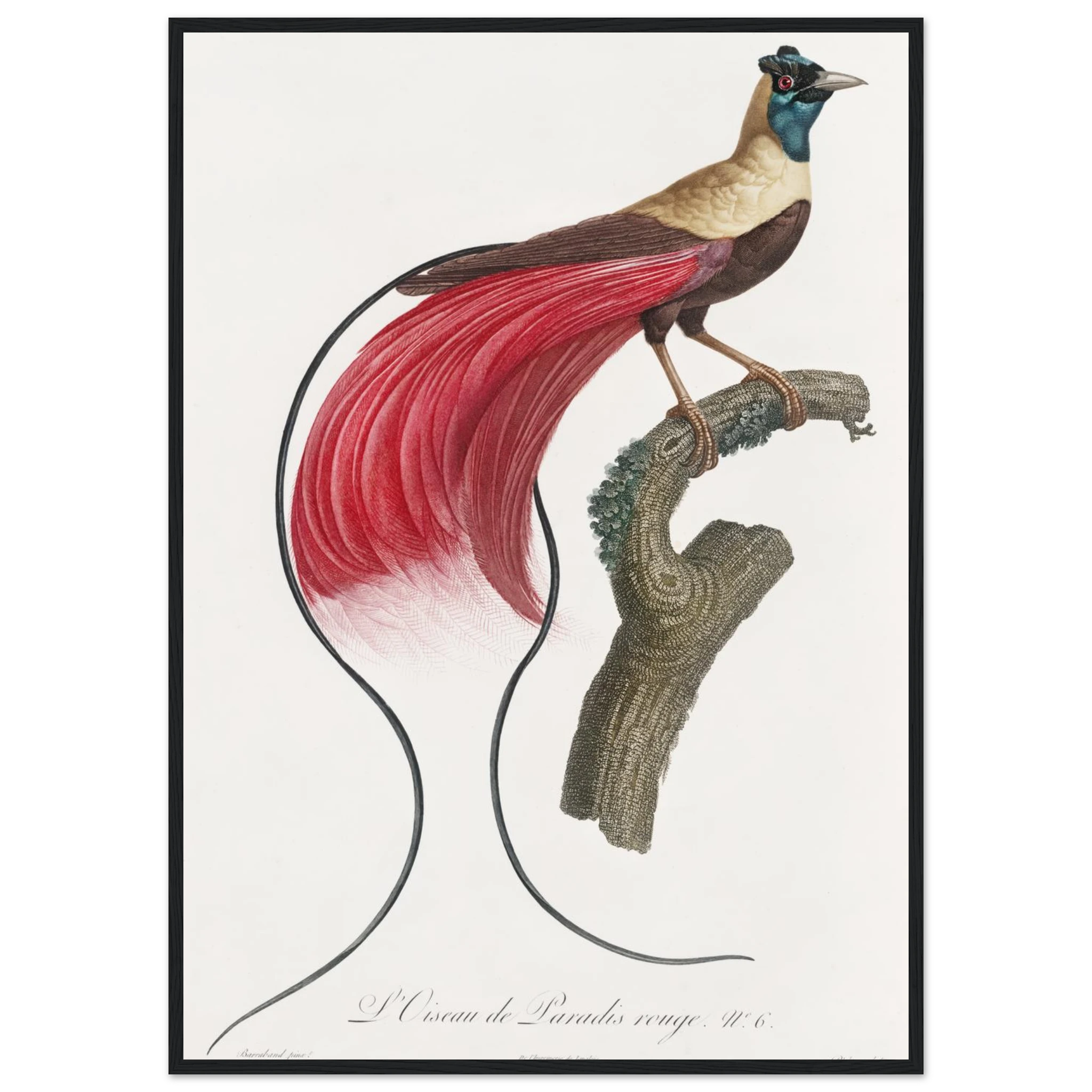 1fccd6d6-fe66-4180-9fb4-c1706dfbf3a7