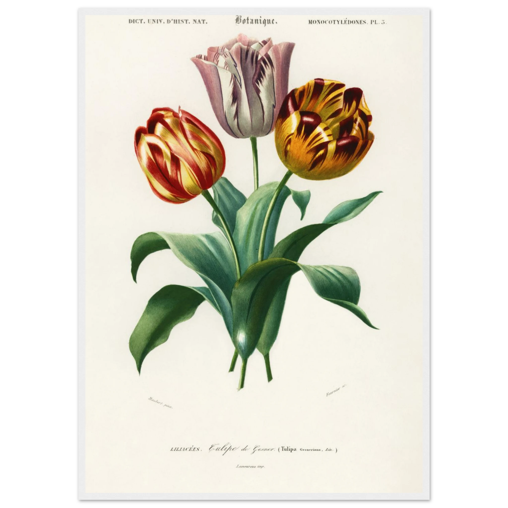 201ea983-9d8e-4667-89f1-cb35559aef68