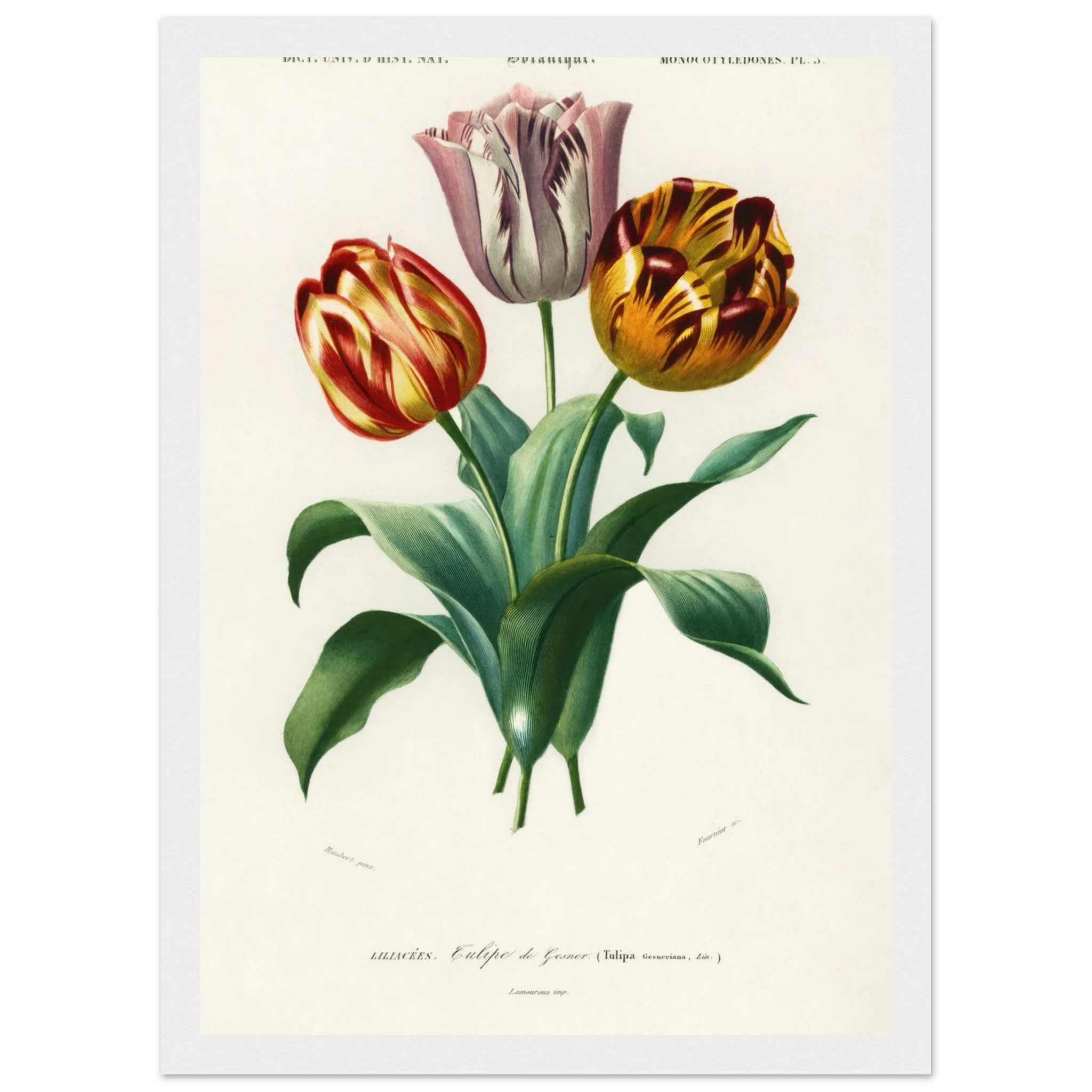 2021abf1-72f9-4a6d-81a7-c188b1dd8a68