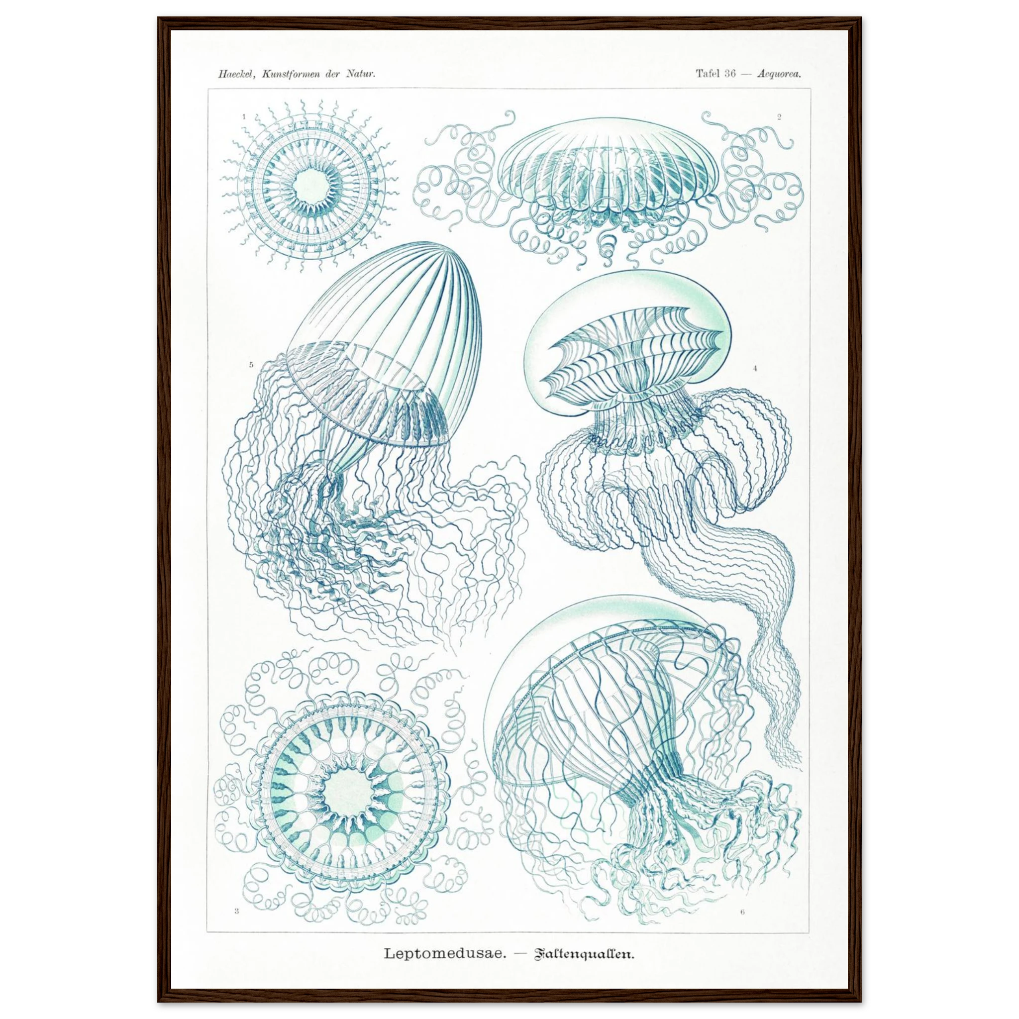 203b86c6-033c-4027-89a4-8776fd03703d