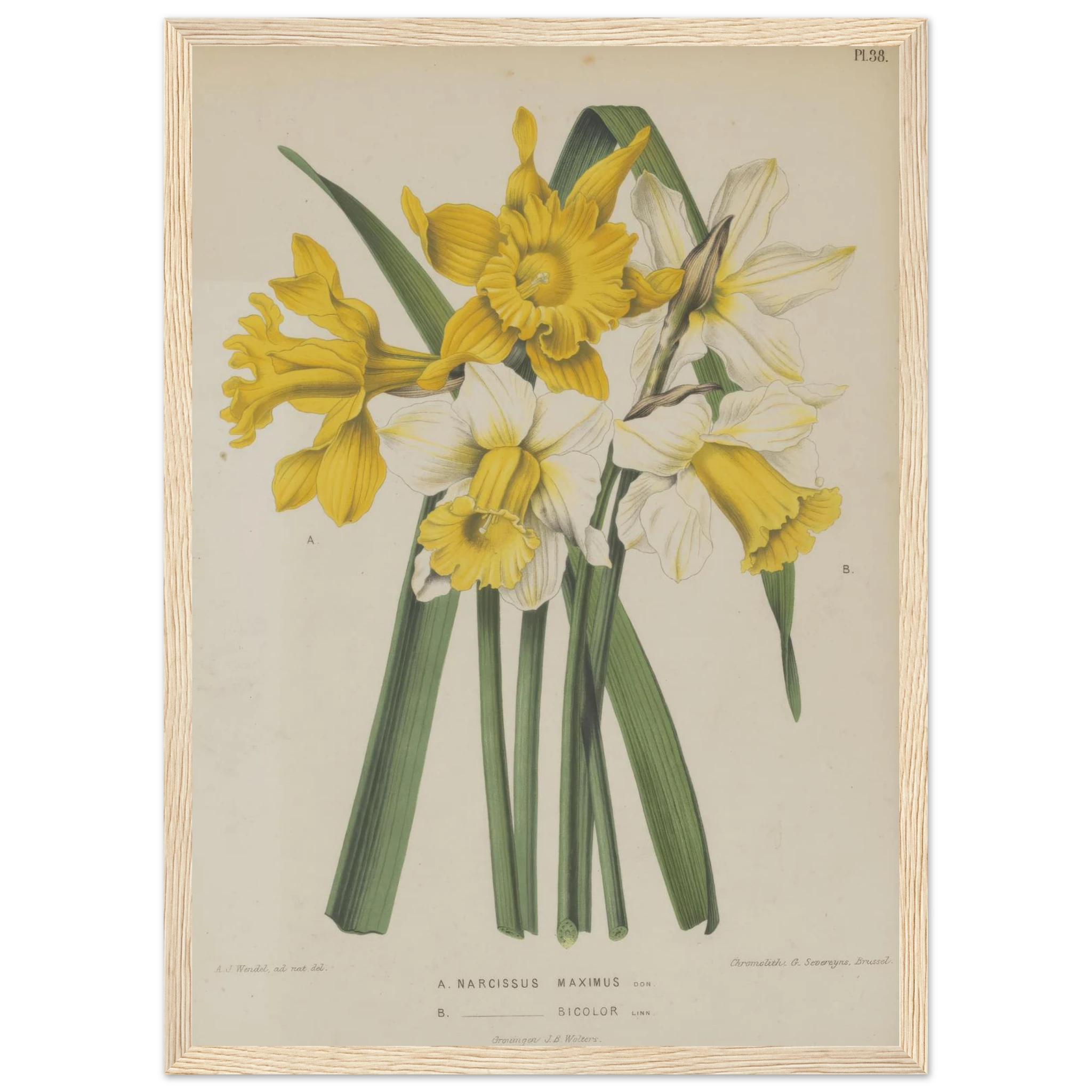 207546b9-edd6-488c-bd50-12d66105a1a9