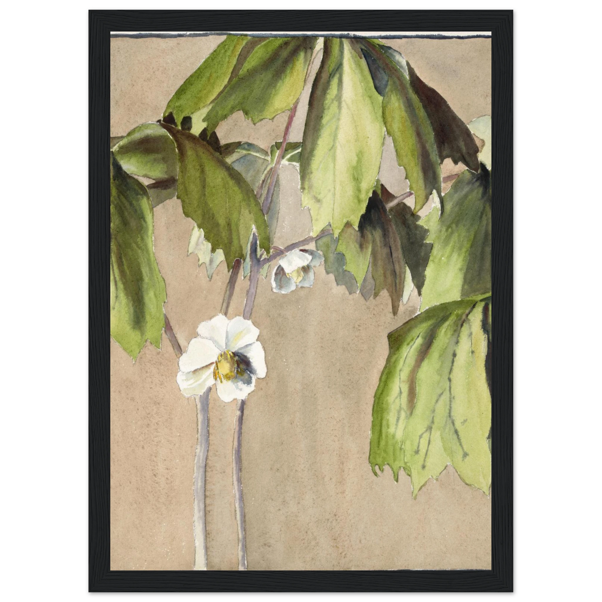 2110bd4f-8165-4f9c-96f3-5afb29f96740