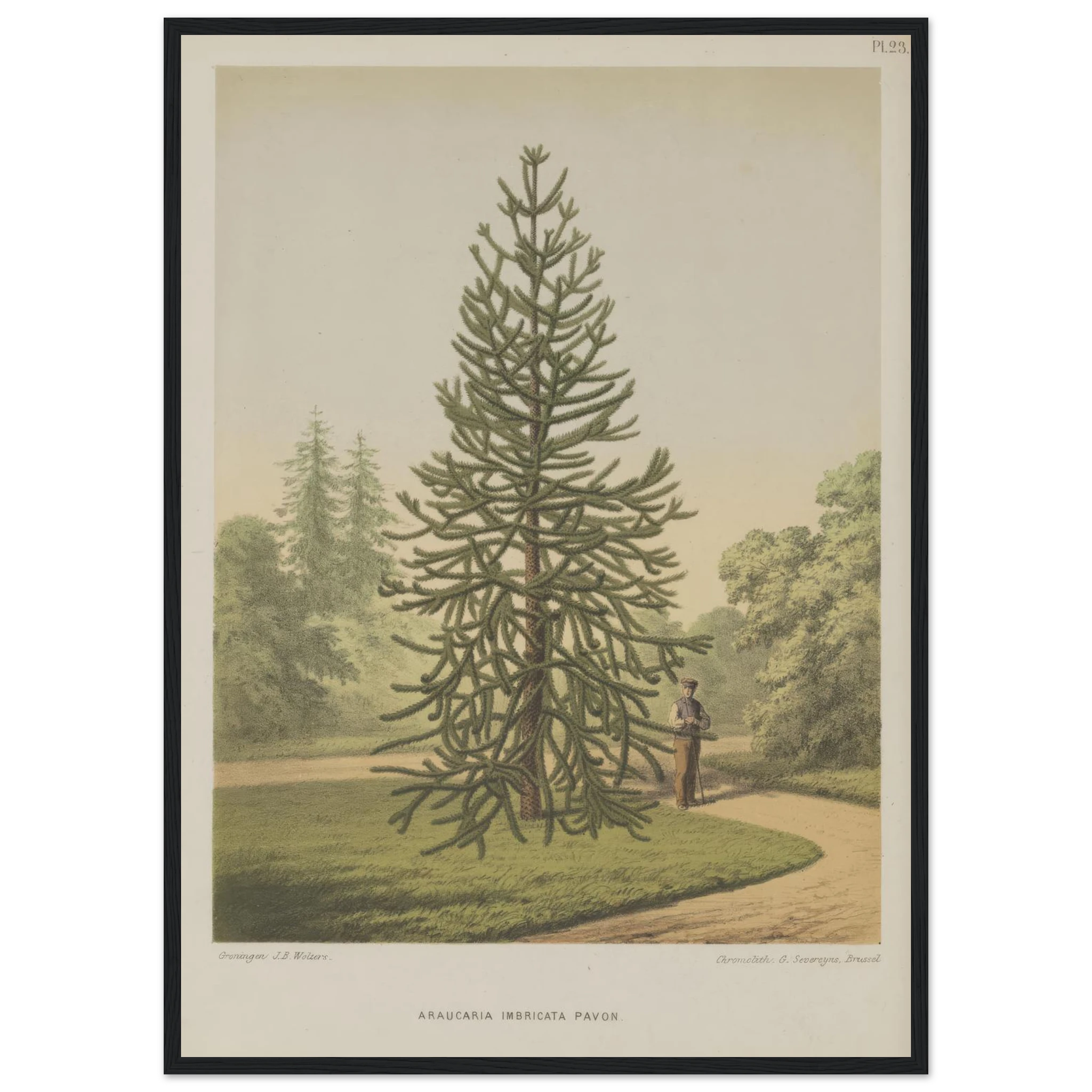 211785a6-9674-4e10-952c-029aeabdb710