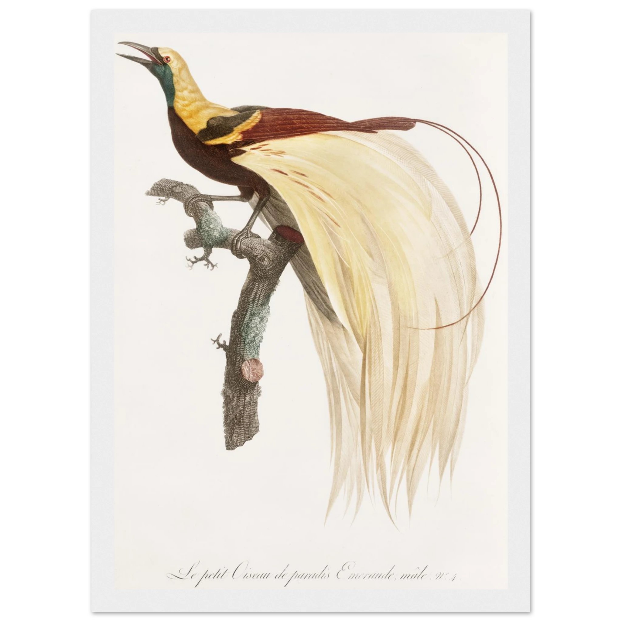 21191c79-4aef-48c3-9d90-3514666276be