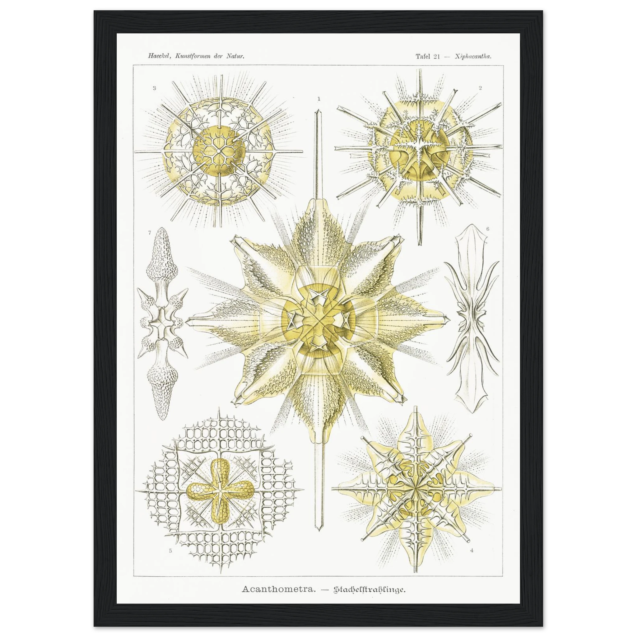 2152b478-3988-4b2f-b4d3-b54494d441a7