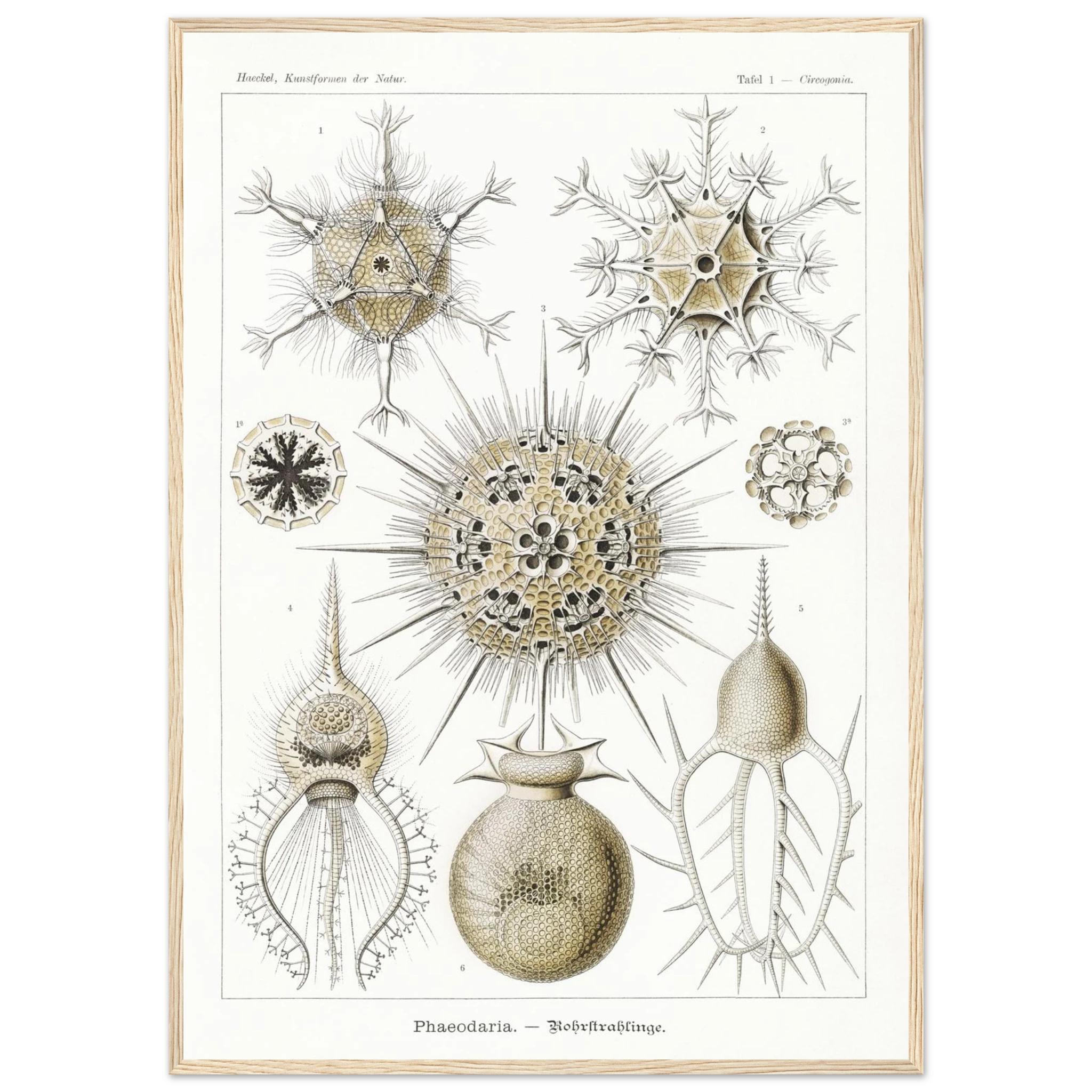 2161a29c-641e-4d44-849d-68cd54852dad