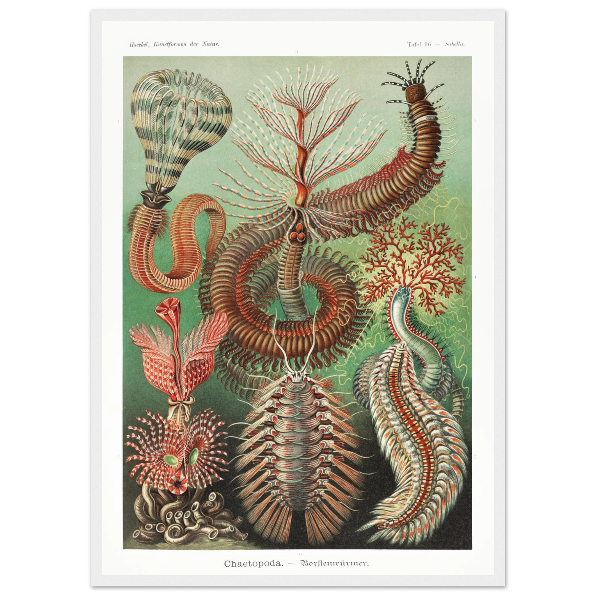 217938f3-f7c6-4bea-9801-9c18e6084e93