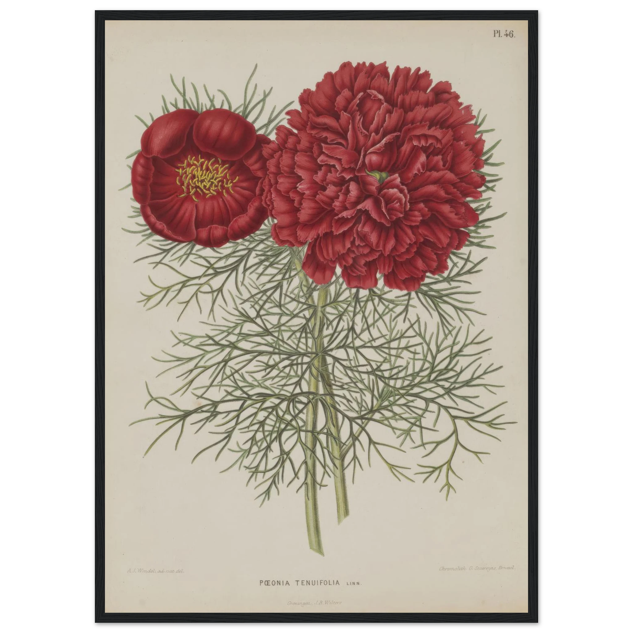 217d8fec-da22-4638-81e9-85861c1ba173