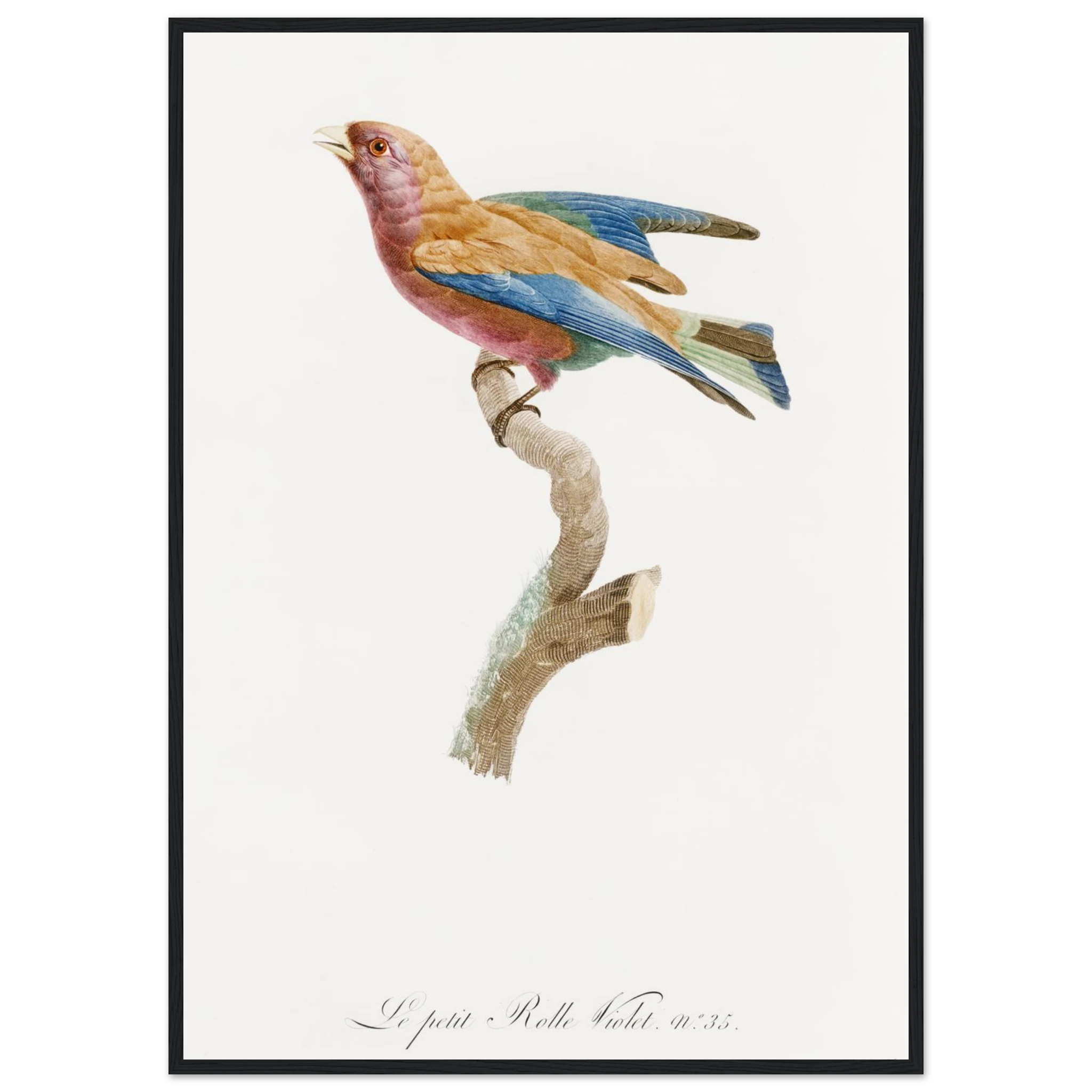 21d79929-3356-492d-bd6c-f70a82582776