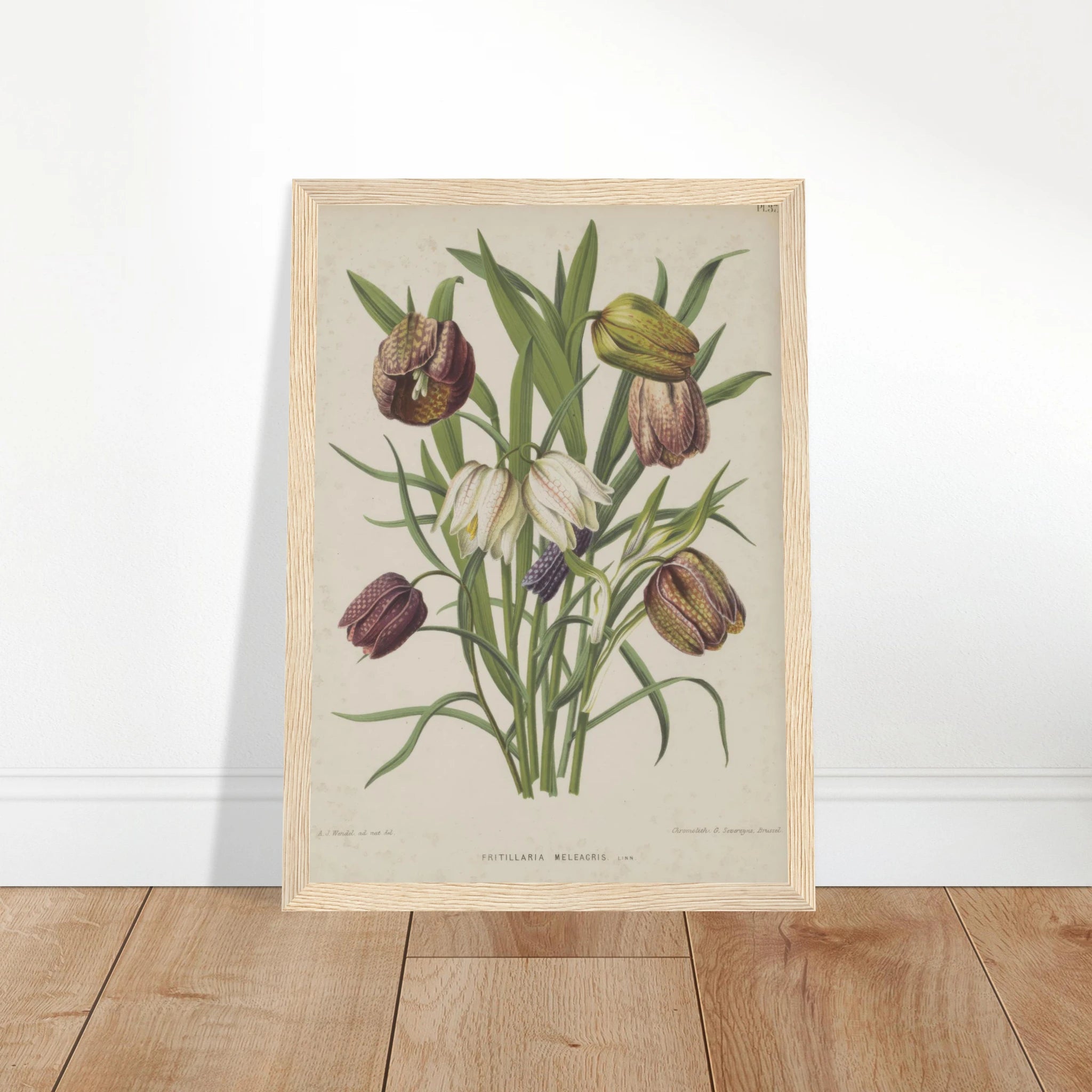 21ecc694-b253-4c0b-96f6-32717a3e82bb