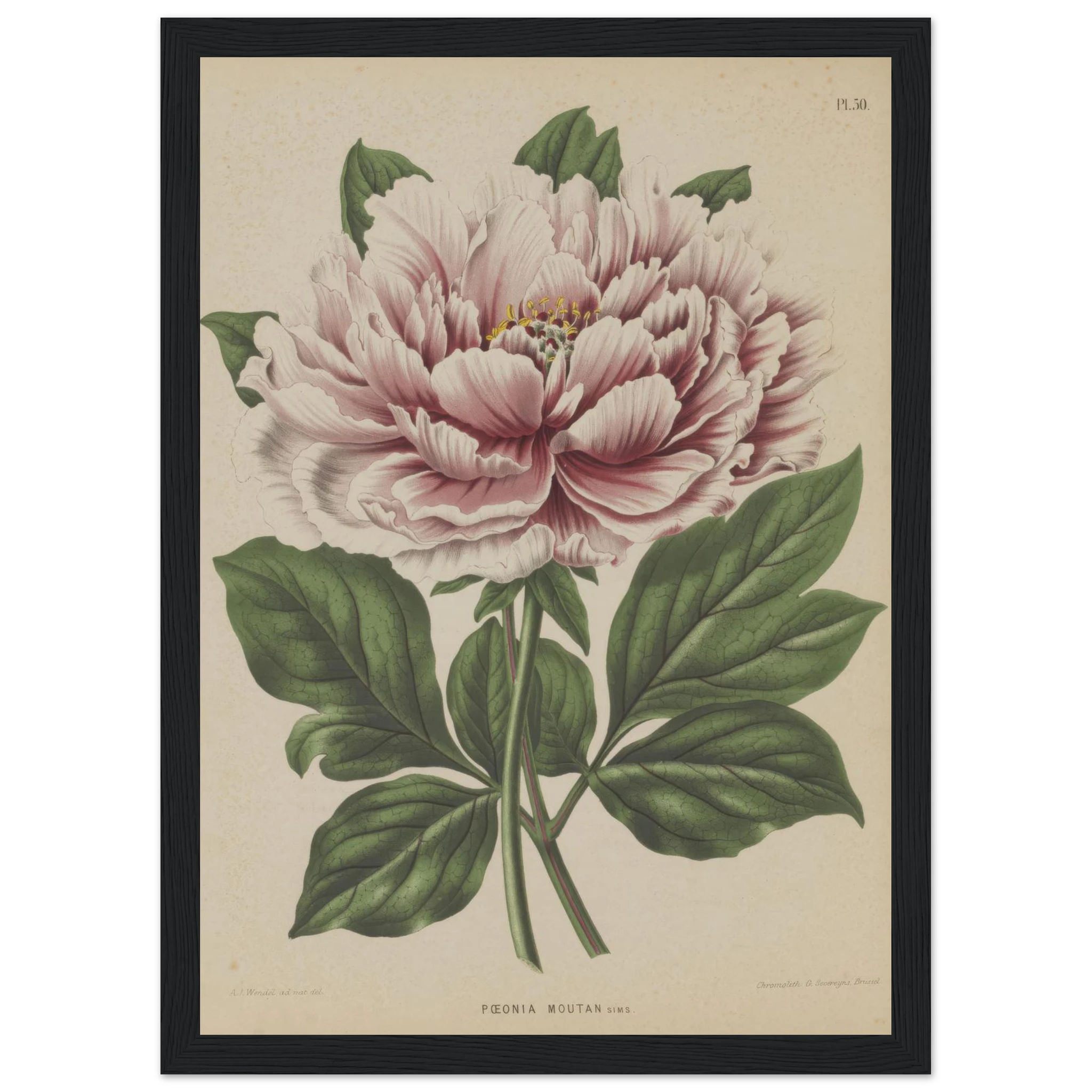 21f84272-52ab-4ab6-b558-dc8056b7da74