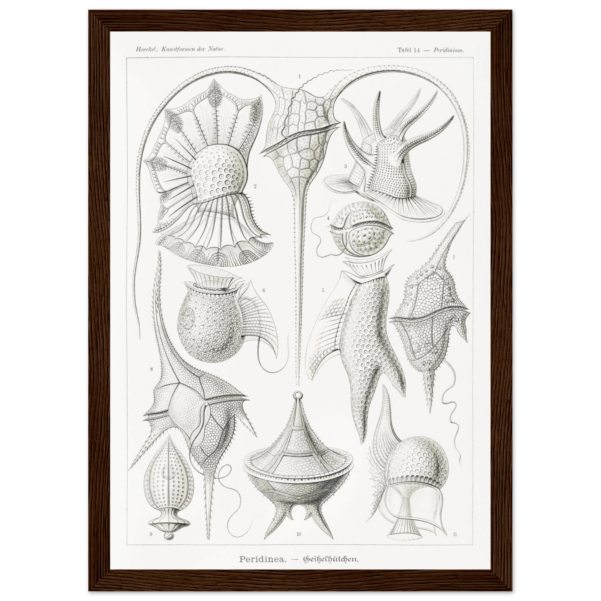 2220c3c0-f624-4bc9-94ba-86ef1448f5bb