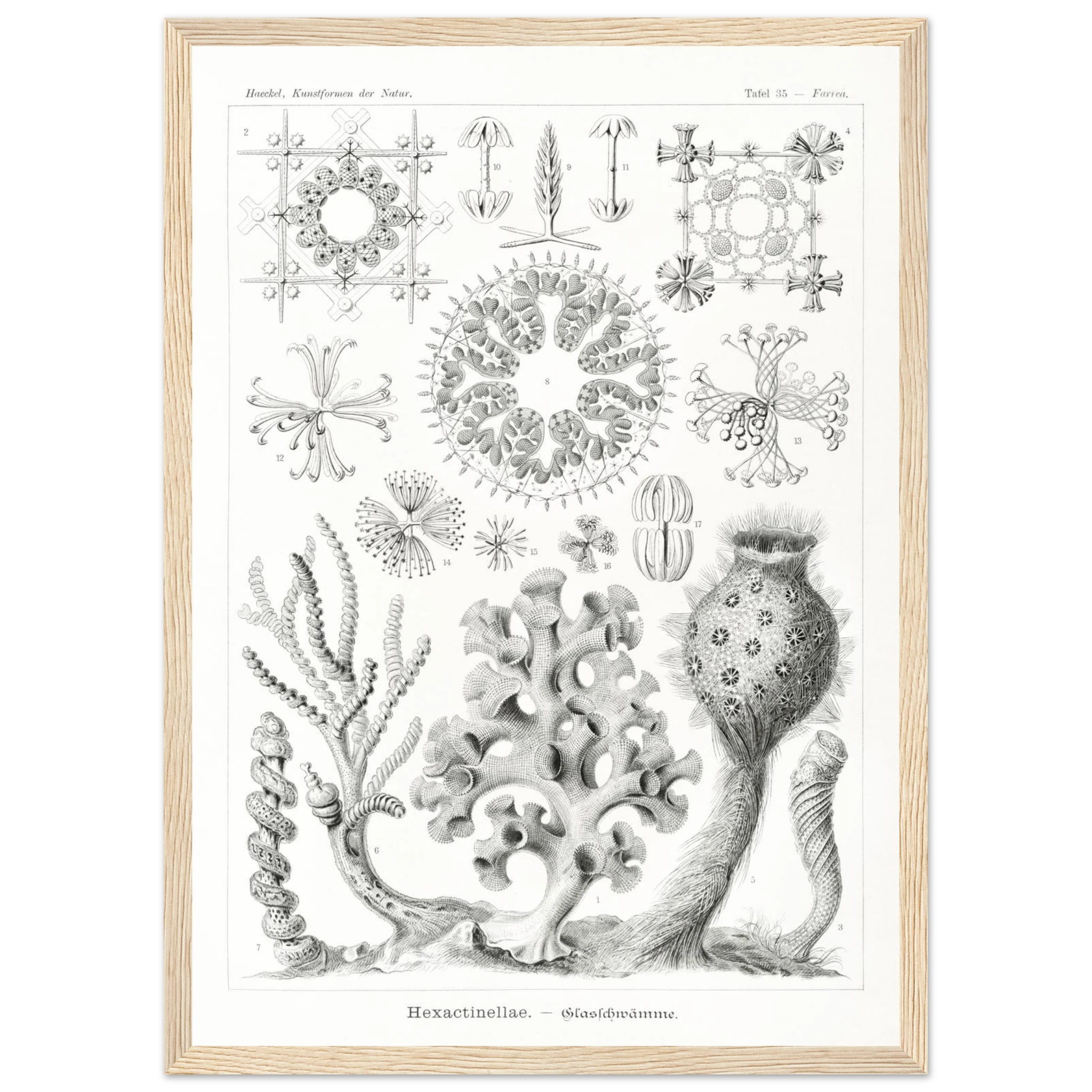 228384dd-c27f-434f-a847-113b5d937edf