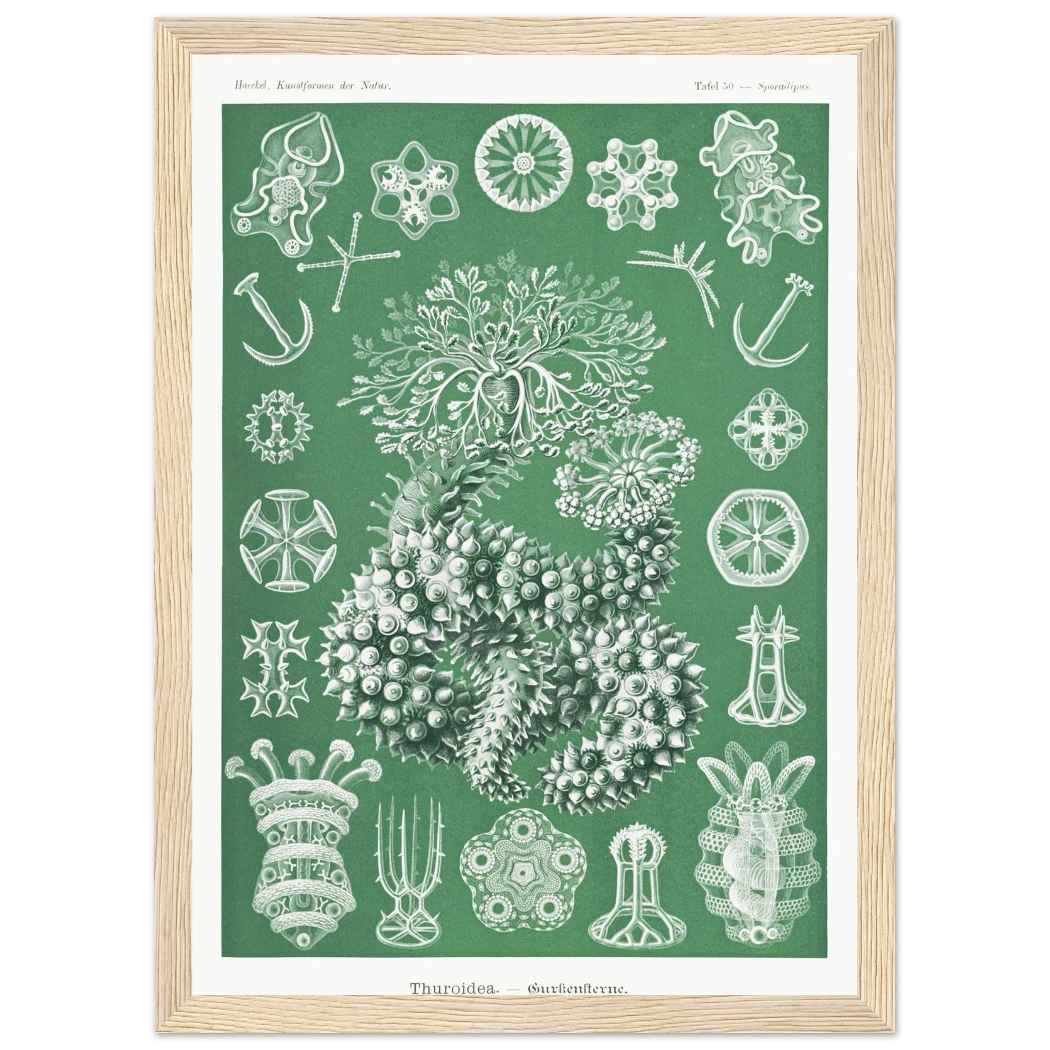 2297c589-671d-4c51-a0dc-eb5515427da6