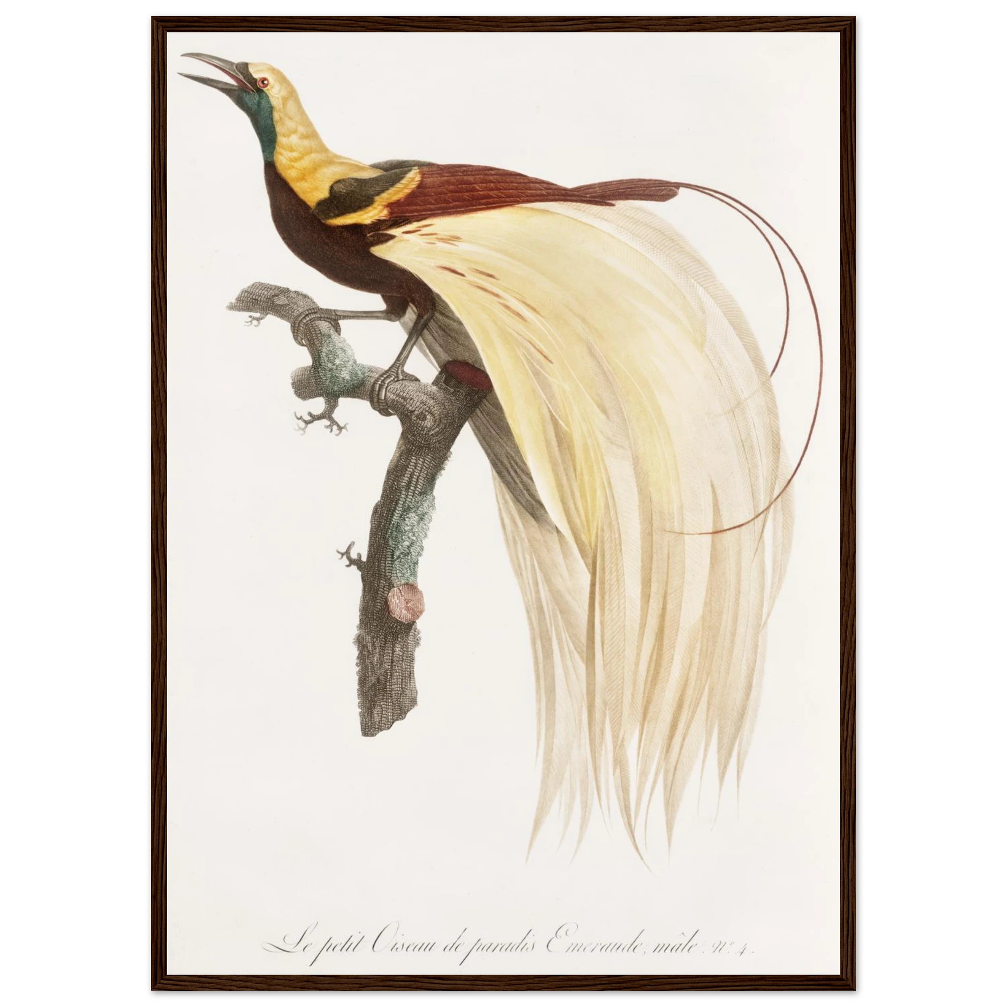 22b1c495-981f-4cb5-8e27-8c44a4fa504d