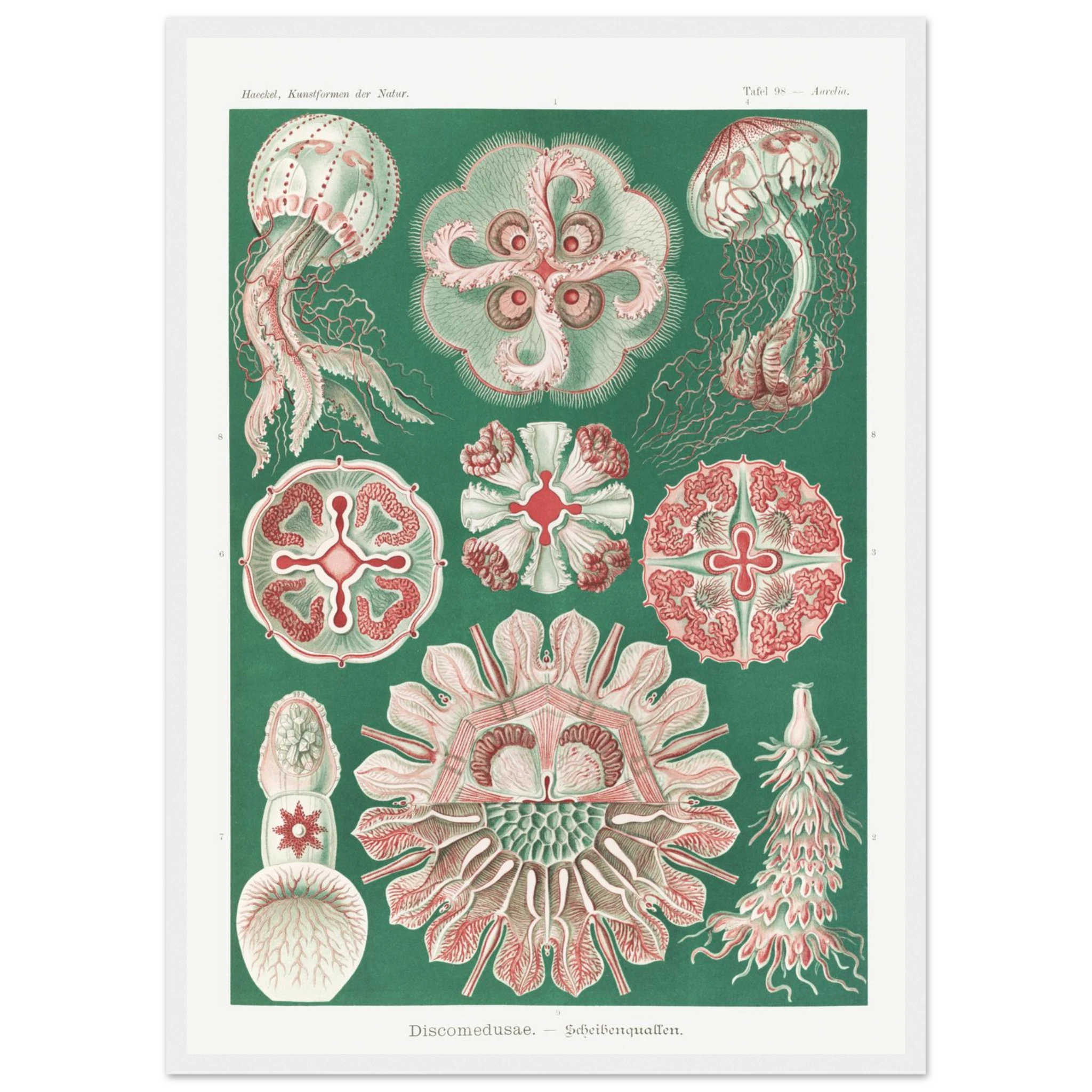 22d4d195-162a-4d6b-acfa-0349d0492b78