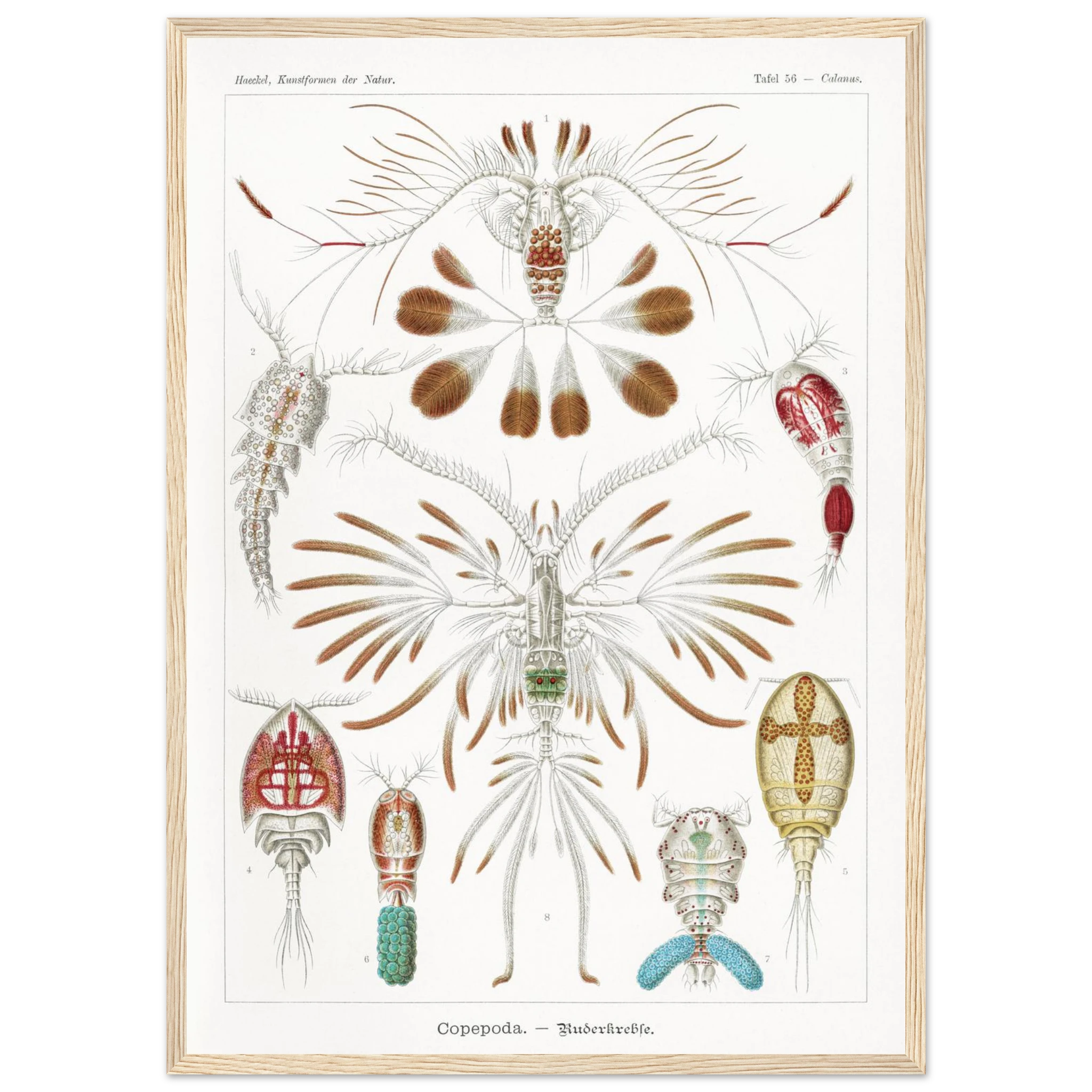 22f5143e-2e2c-4039-bd60-164693828b20