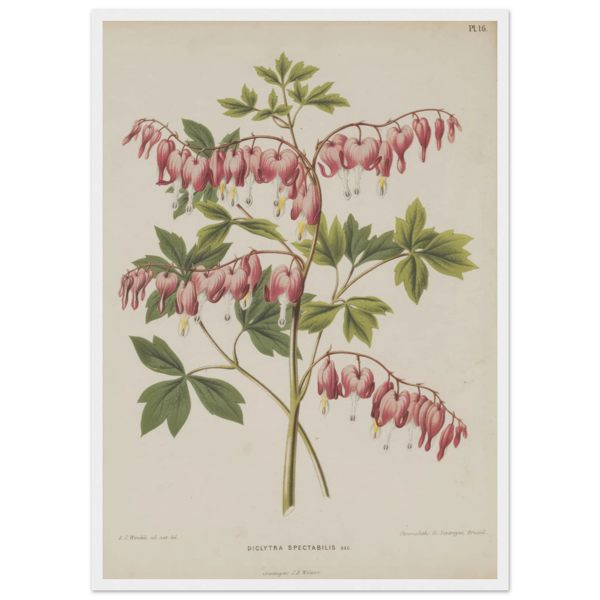 238d0495-08f6-455b-9983-e29320d6f2ae