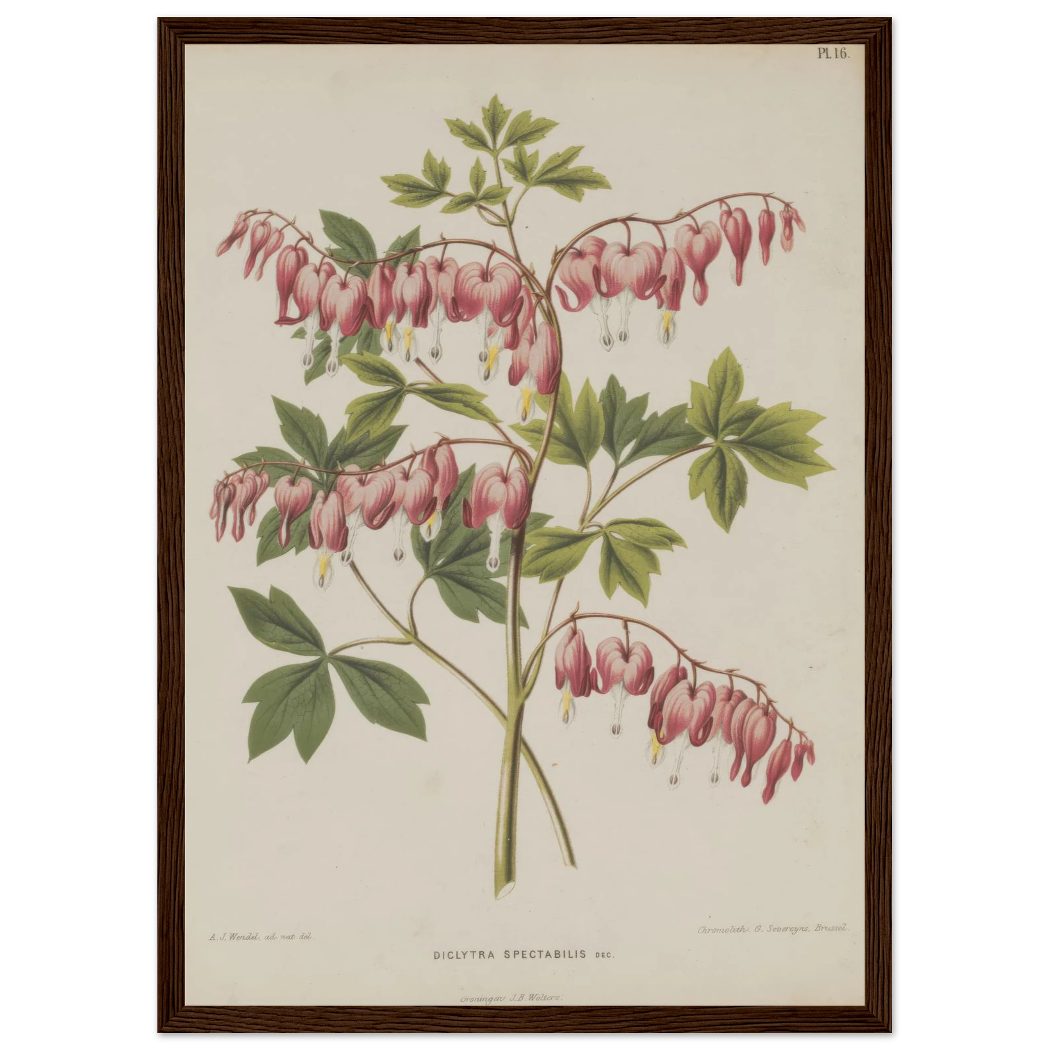 23ac0261-fda0-4e2b-b954-8293a0b647d9