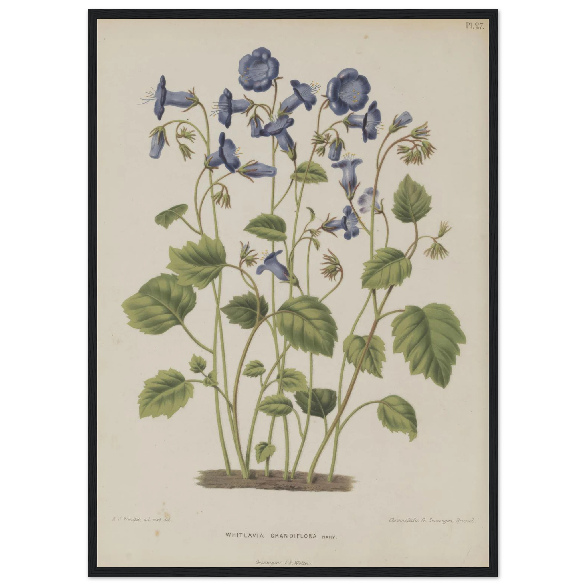 23ecca22-c715-4b3d-8e61-8e9816eec55f